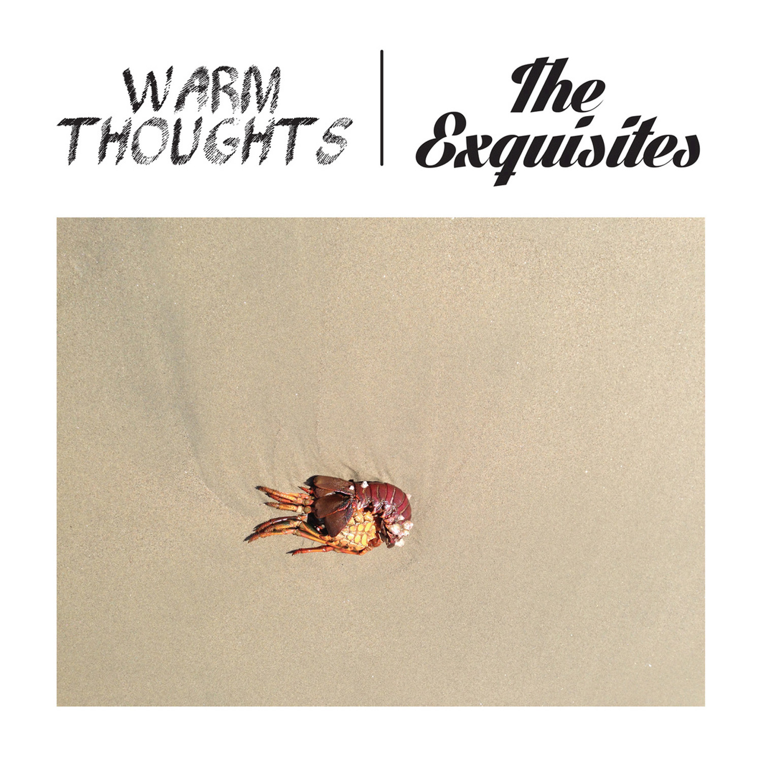 Split with Warm Thoughts & The Exquisites - EP