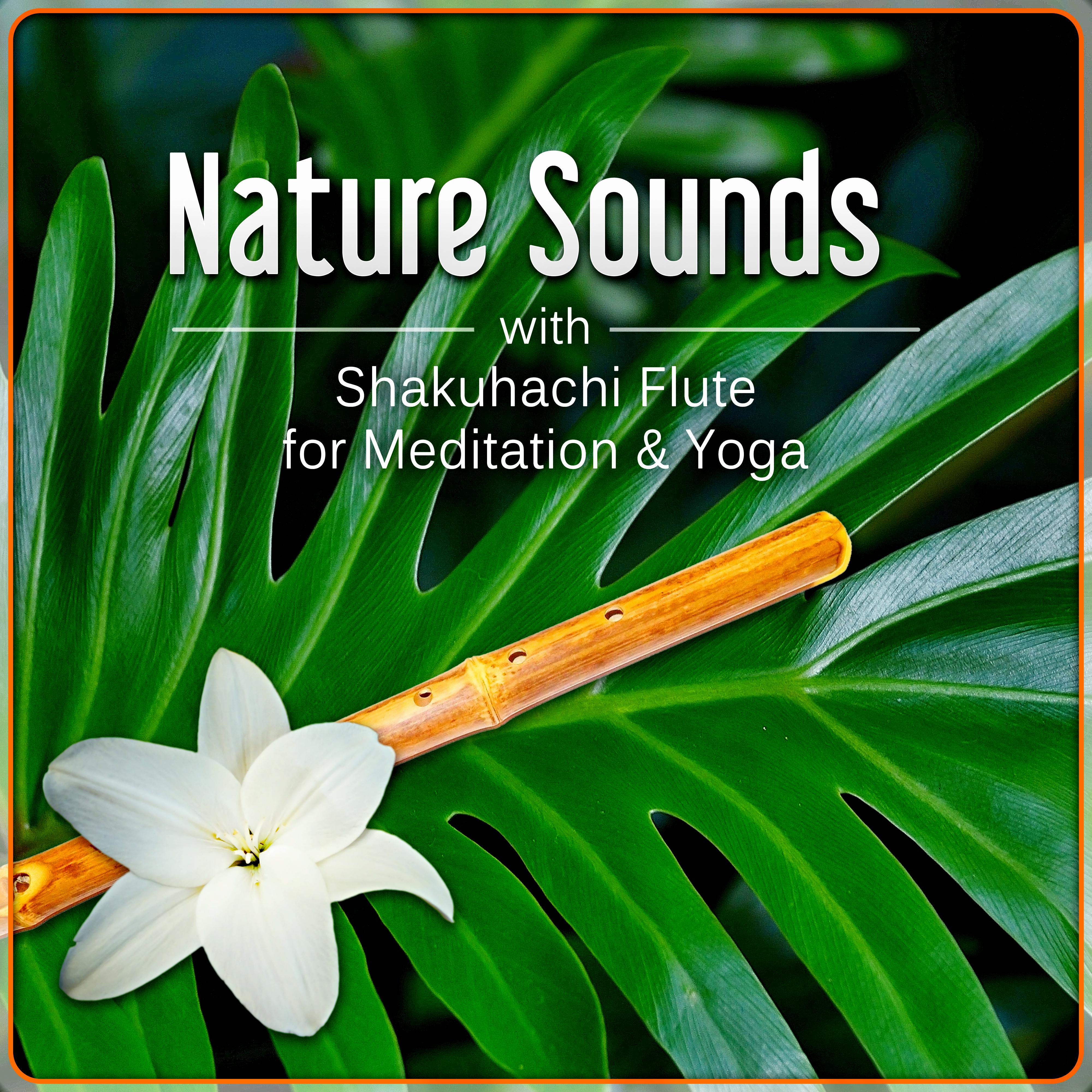 Nature Sounds with Shakuhachi Flute for Meditation  Yoga  The Ultimate Ambient Zen Flute Music for Relax and Stress Management