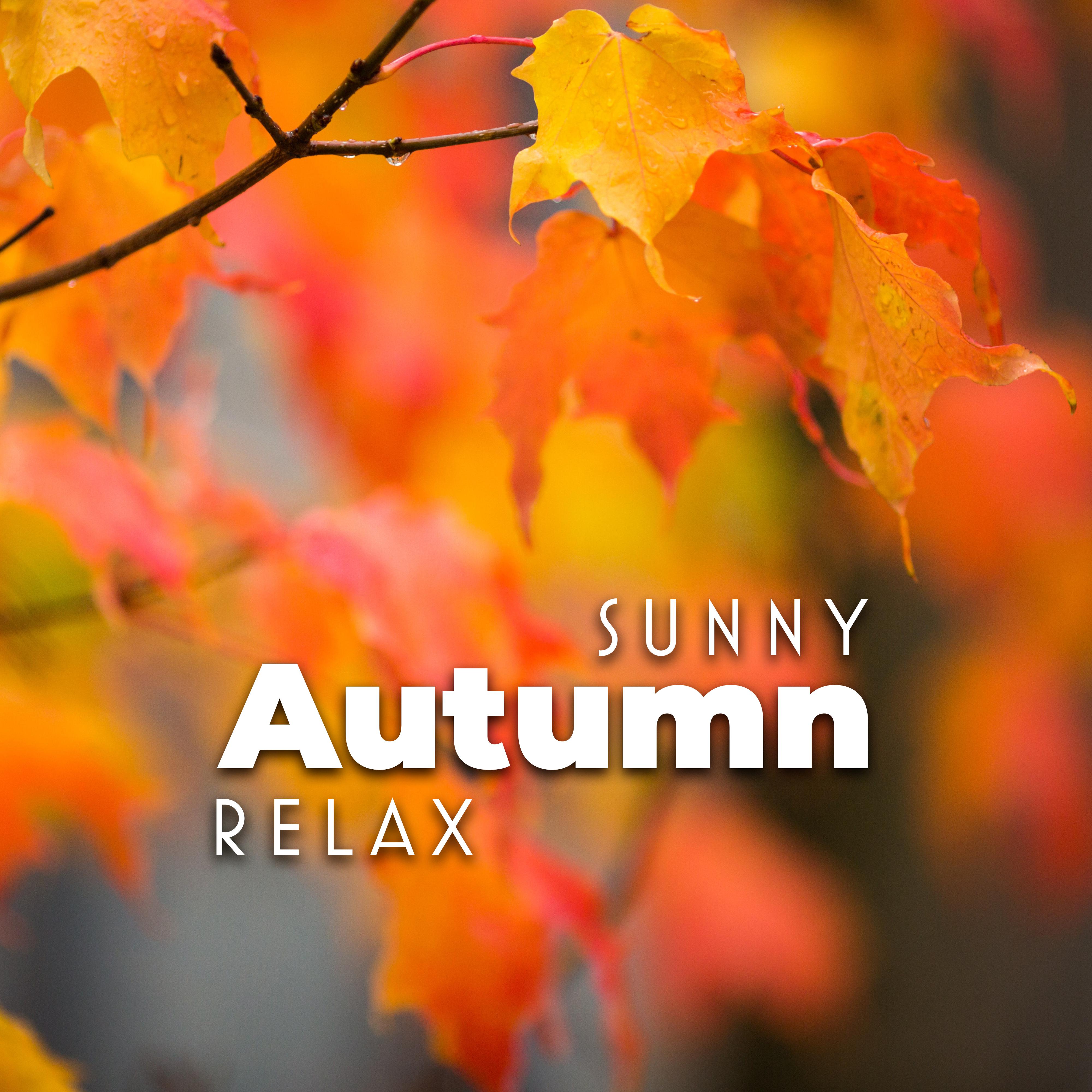 Sunny Autumn Relax