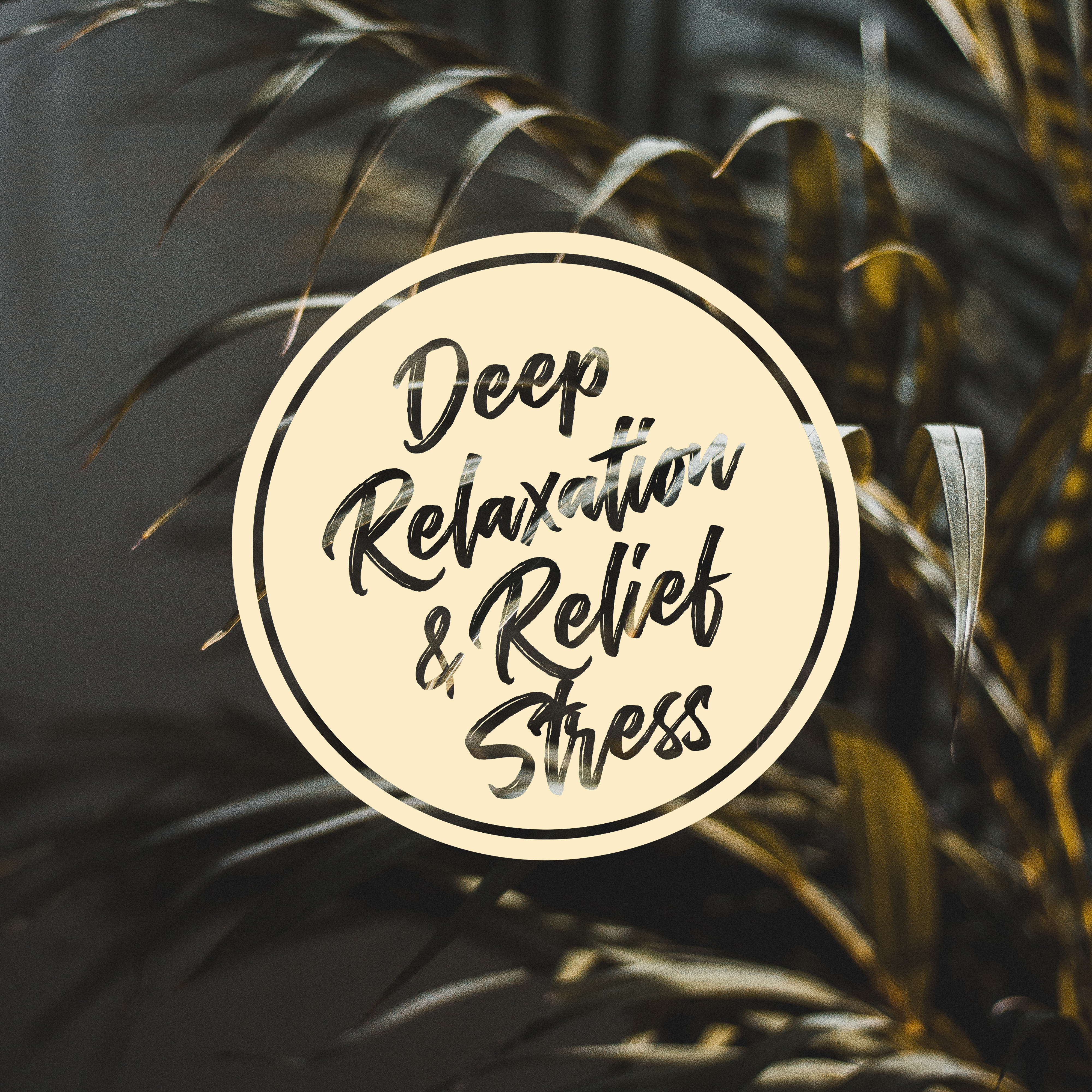 Deep Relaxation & Relief Stress