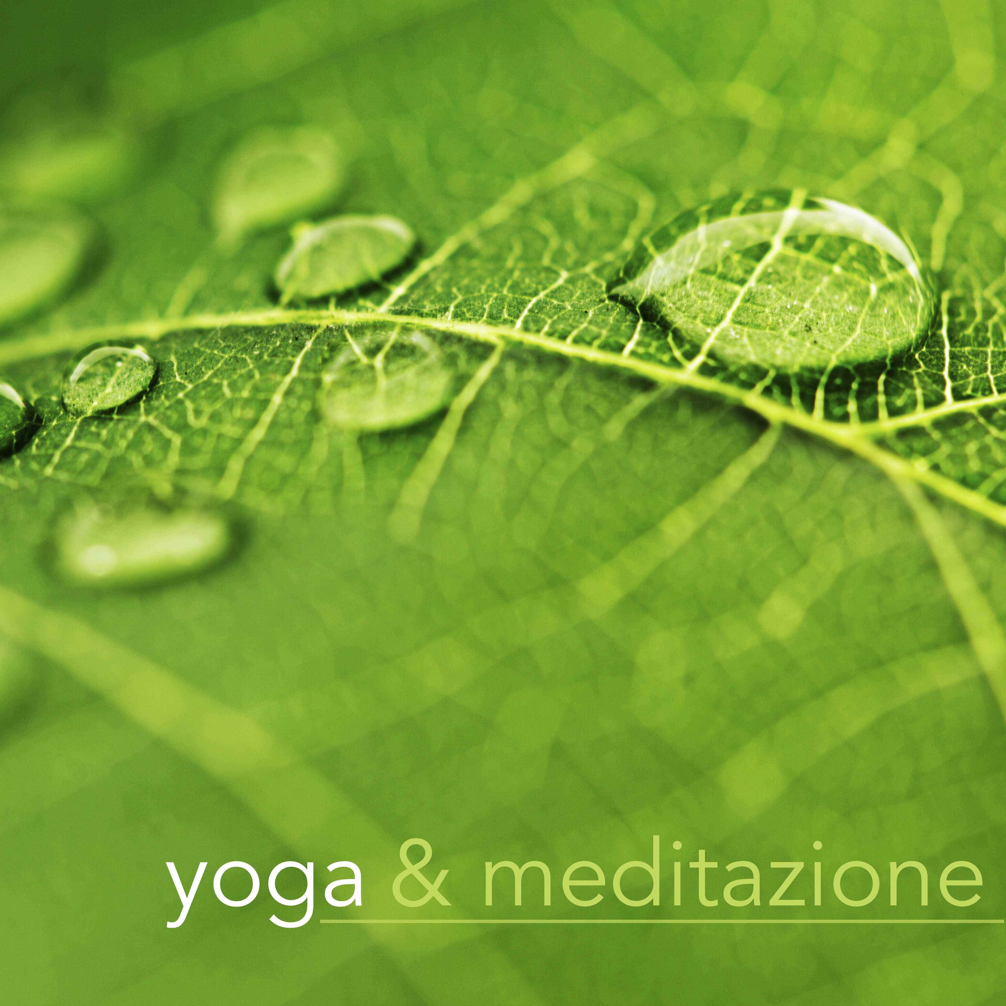 Yoga & Meditazione - Musica di Sottofondo per Lezioni di Yoga, Pilates e Reiki, Meditazione e Rilassamento