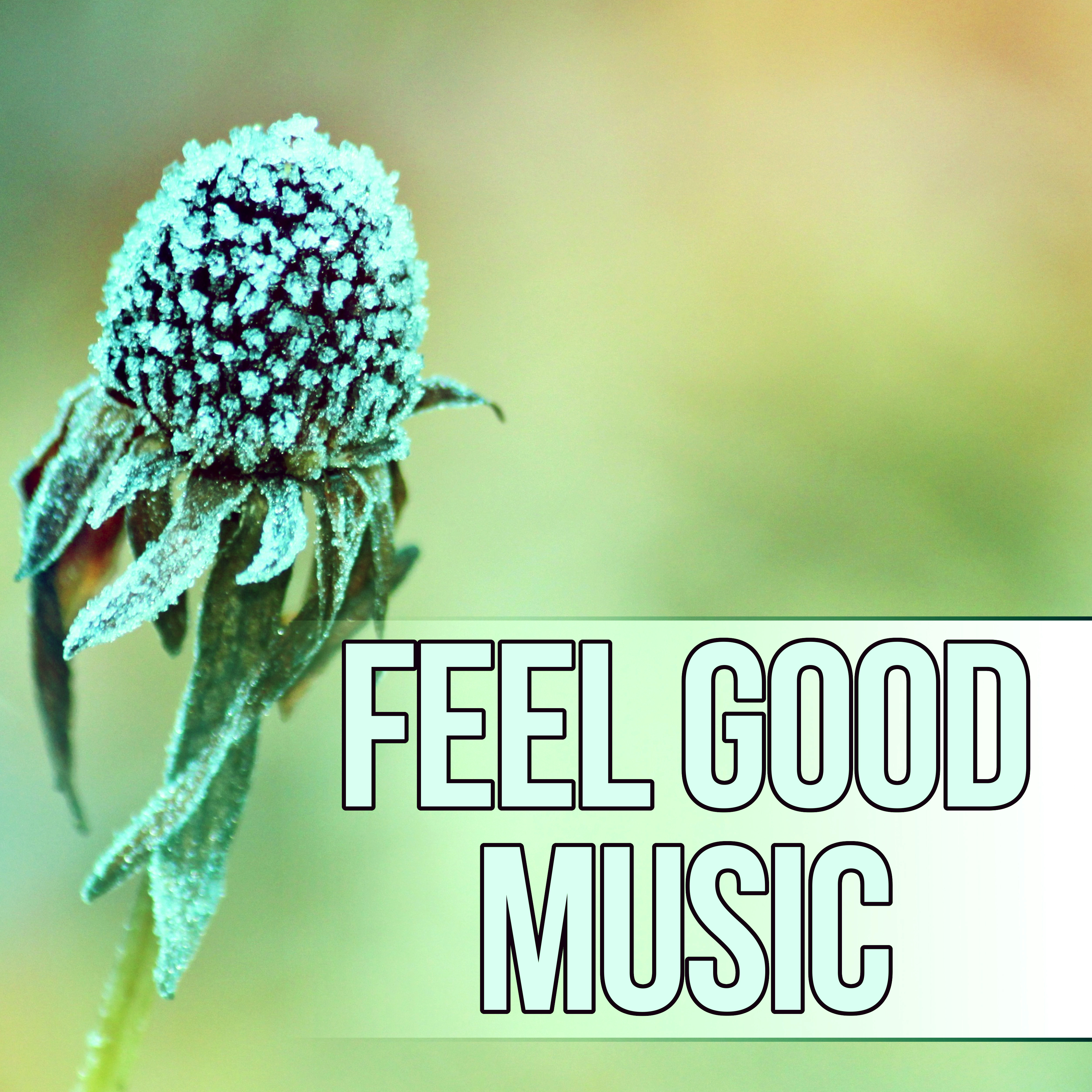 Feel Good Music  Instrumental Pieces, Time to Relax, Natural Stress Relief, Sensual Massage for Women