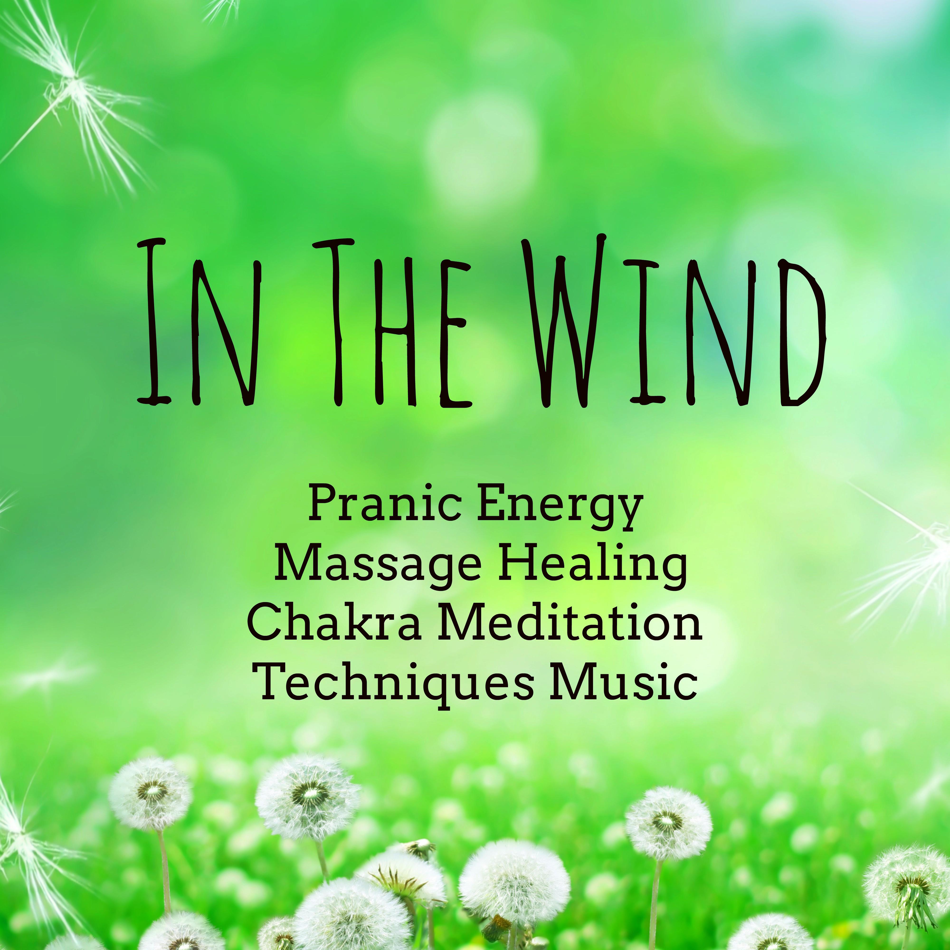 In The Wind - Pranic Energy Massage Healing Chakra Meditation Techniques Music with Zen Gamma Waves Brain Stimulation Instrumental Sounds