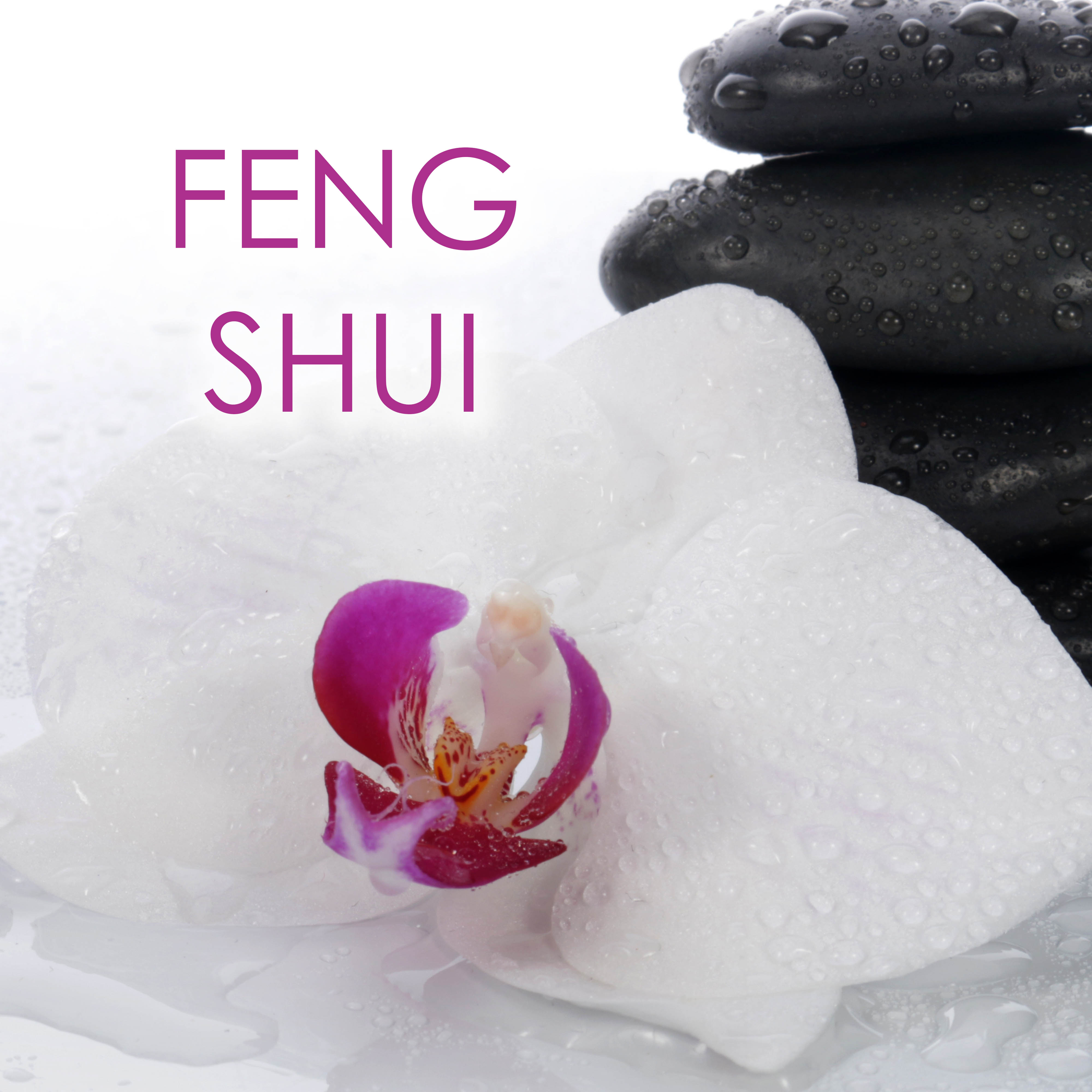 Feng Shui  Canciones para Relajamiento y Meditacio n