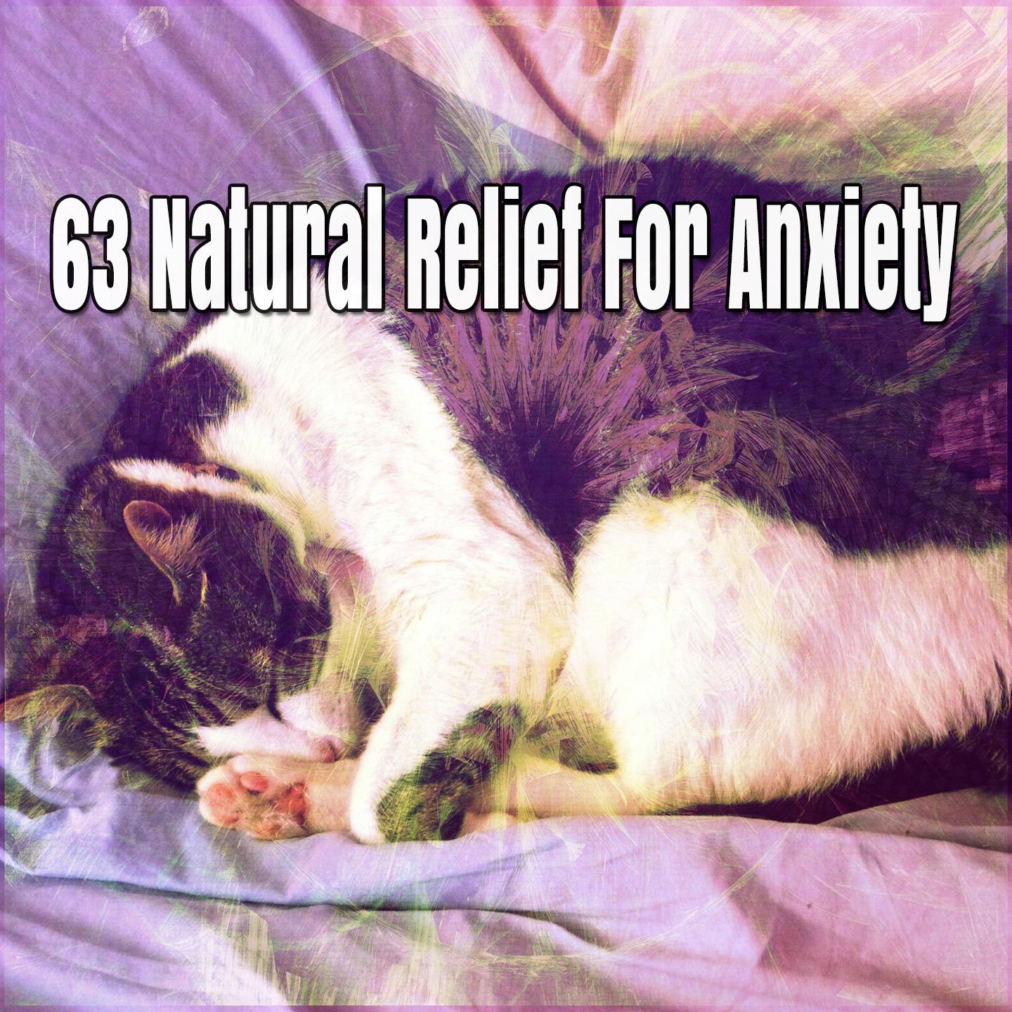 63 Natural Relief For Anxiety