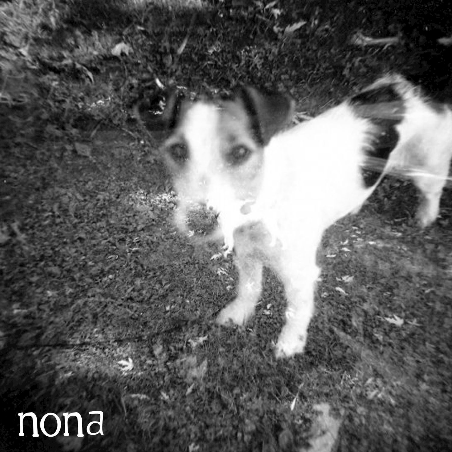 Split EP with NONA & Crow Bait