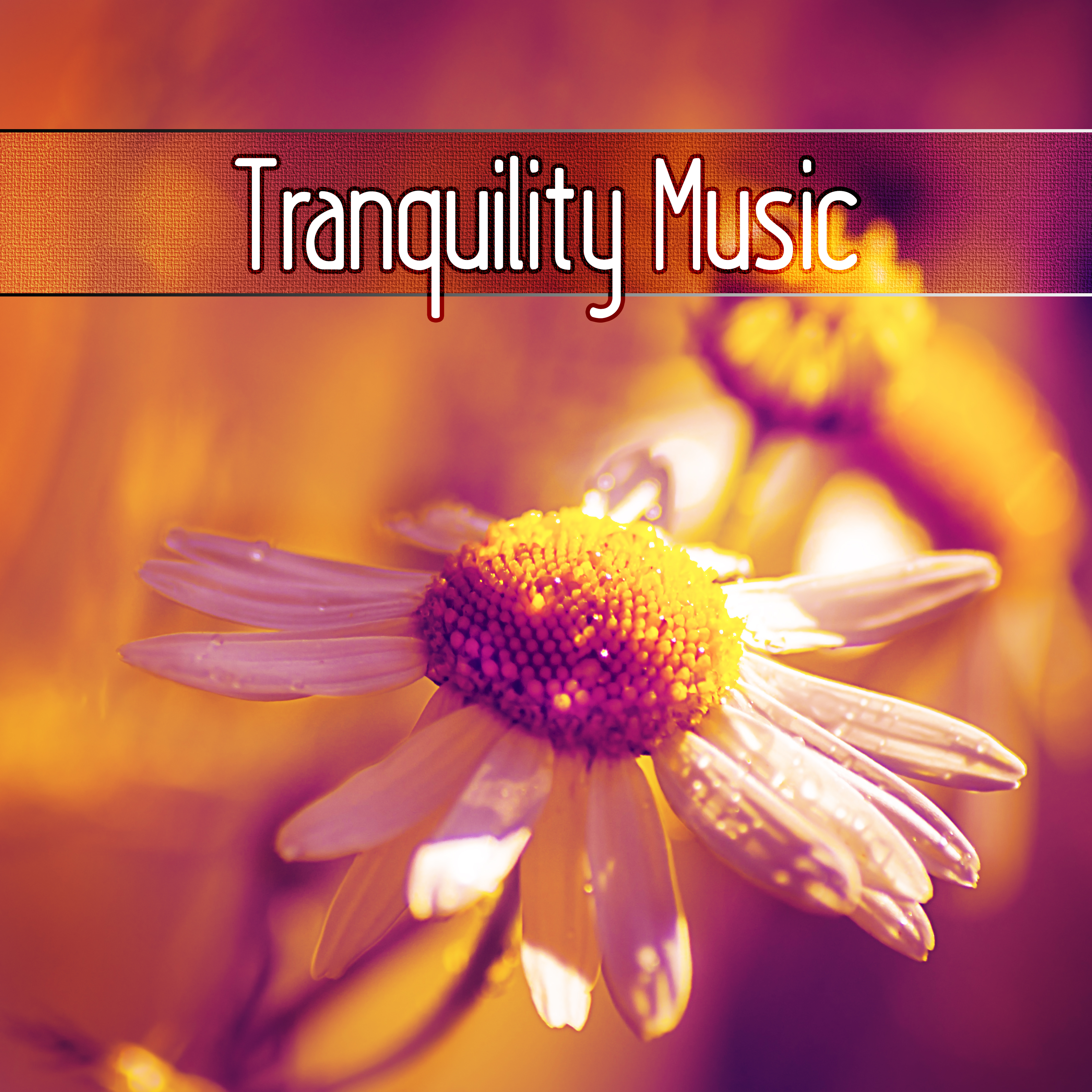 Tranquility Music  Relaxing Nature Sounds, Tibetan Chakra Meditation Music, Relaxation Music