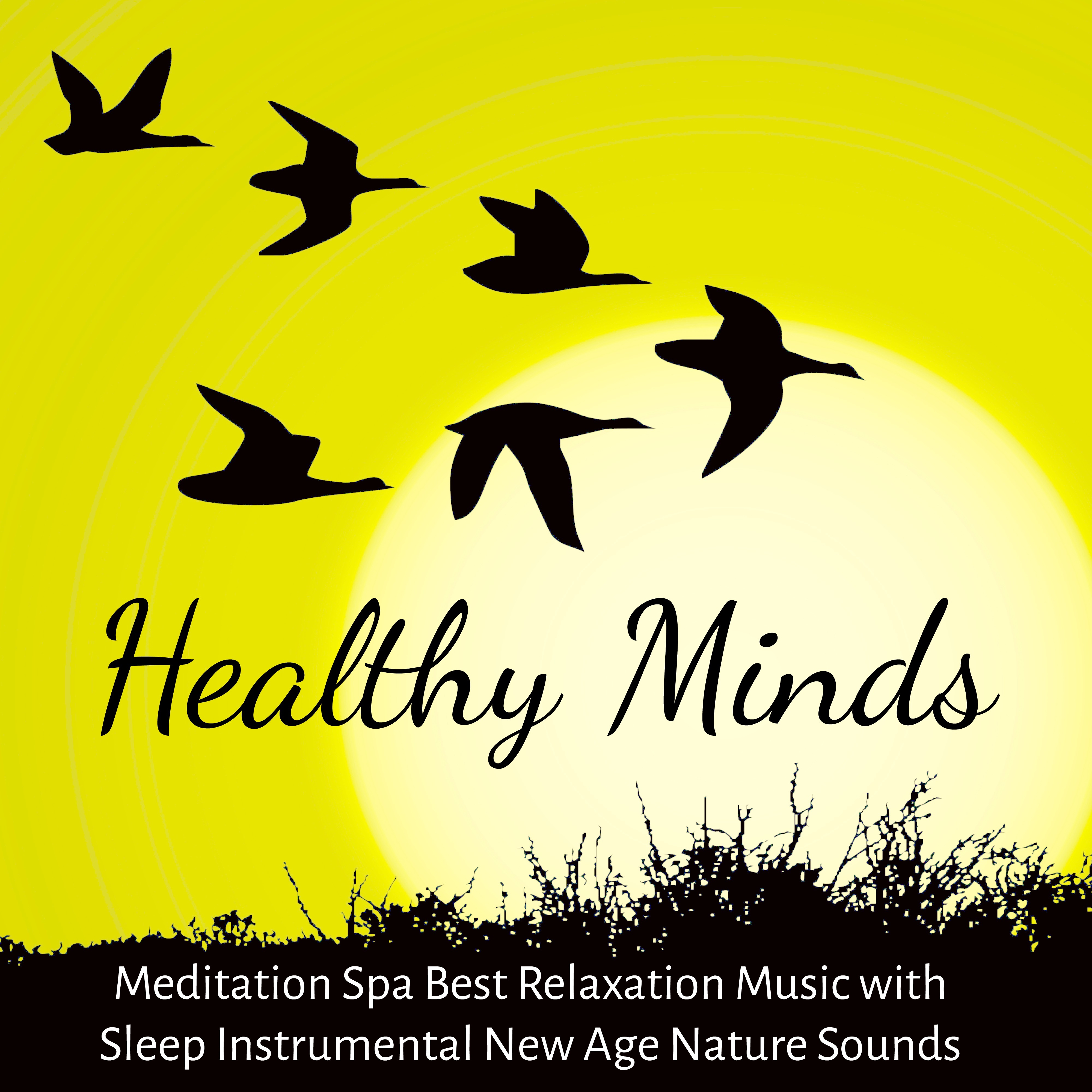 Healthy Minds - Meditation Spa Best Relaxation Music with Sleep Instrumental New Age Nature Sounds