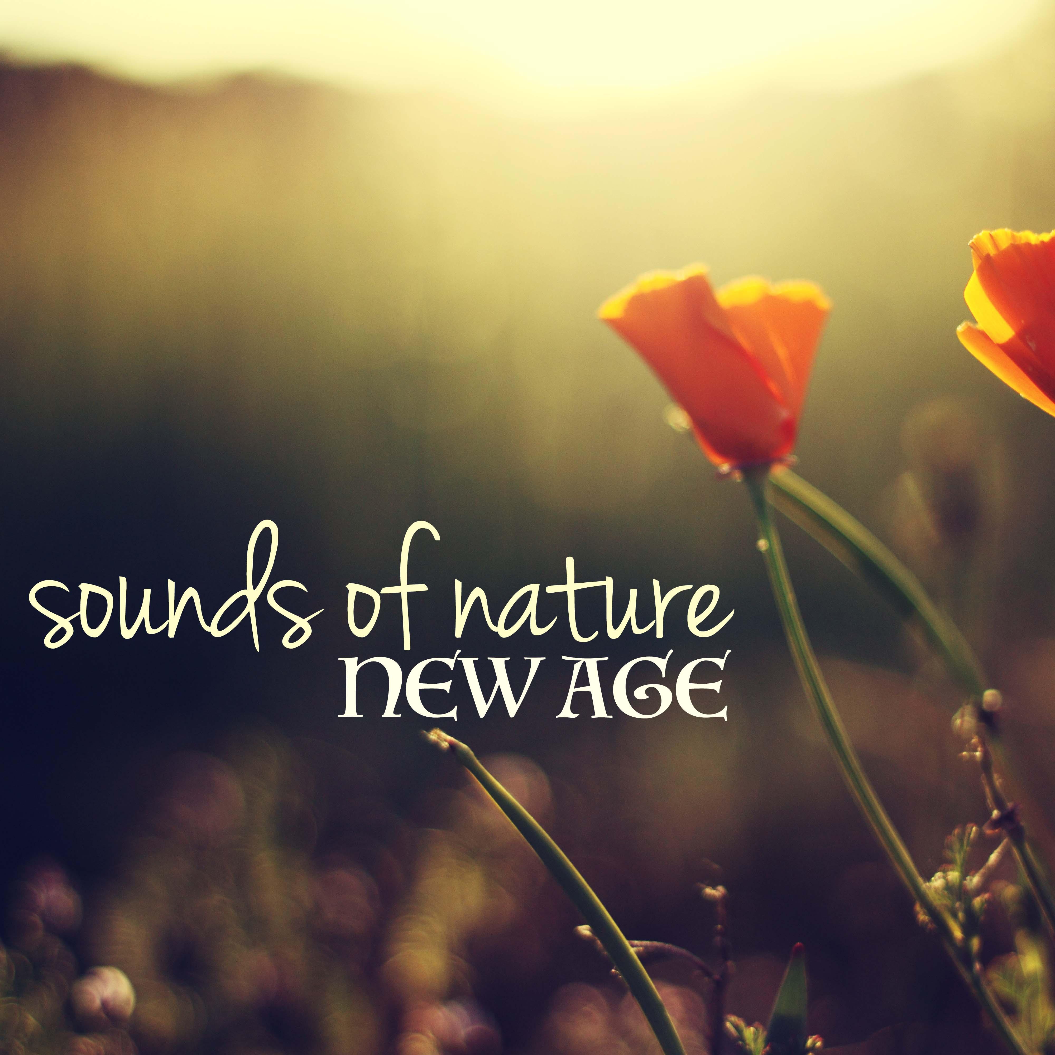 New Age Sounds of Nature Lullabies