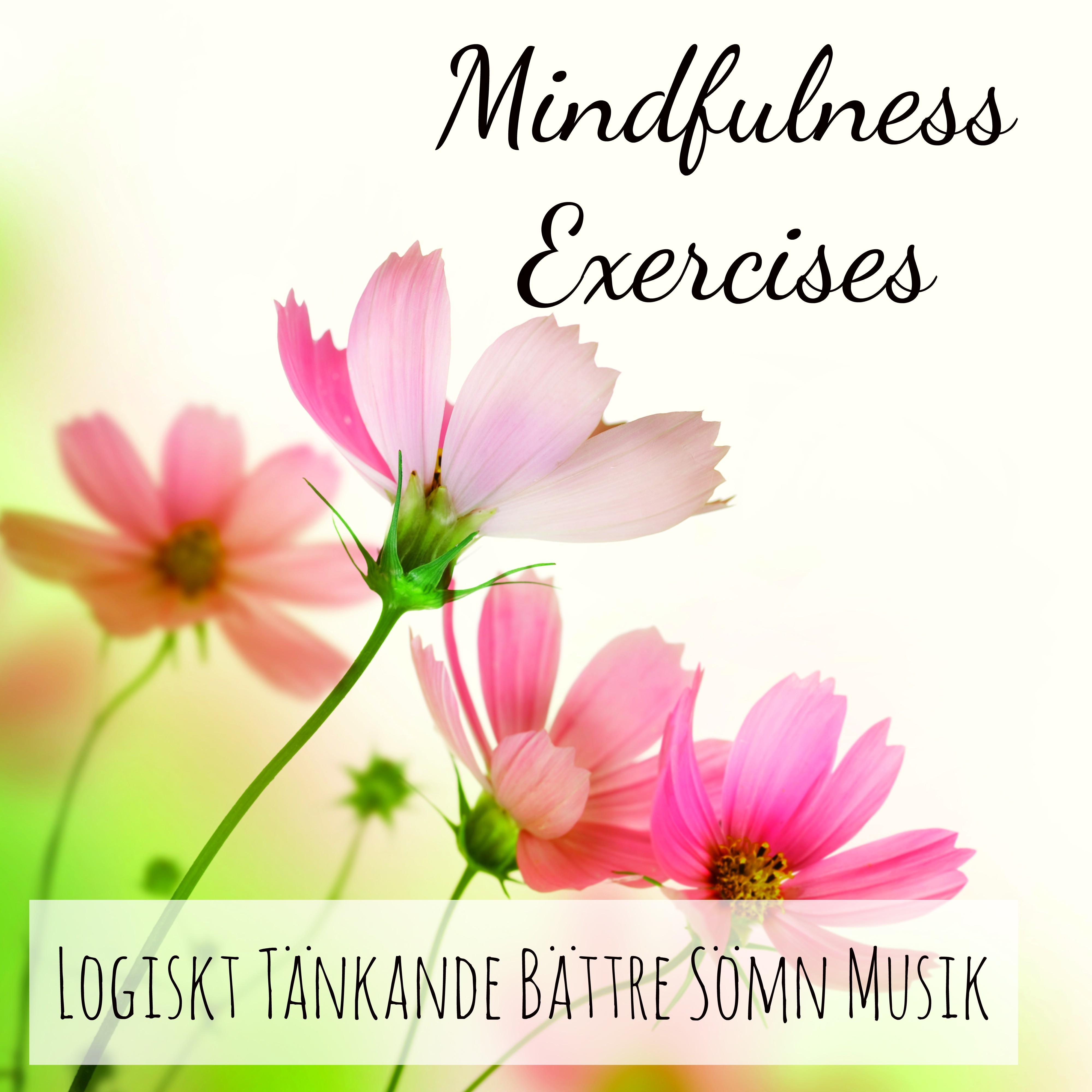 Mindfulness Exercises  Logiskt T nkande B ttre S mn Musik f r Energibalansering Yoga Healing Terapi med New Age Instrumental Ljud