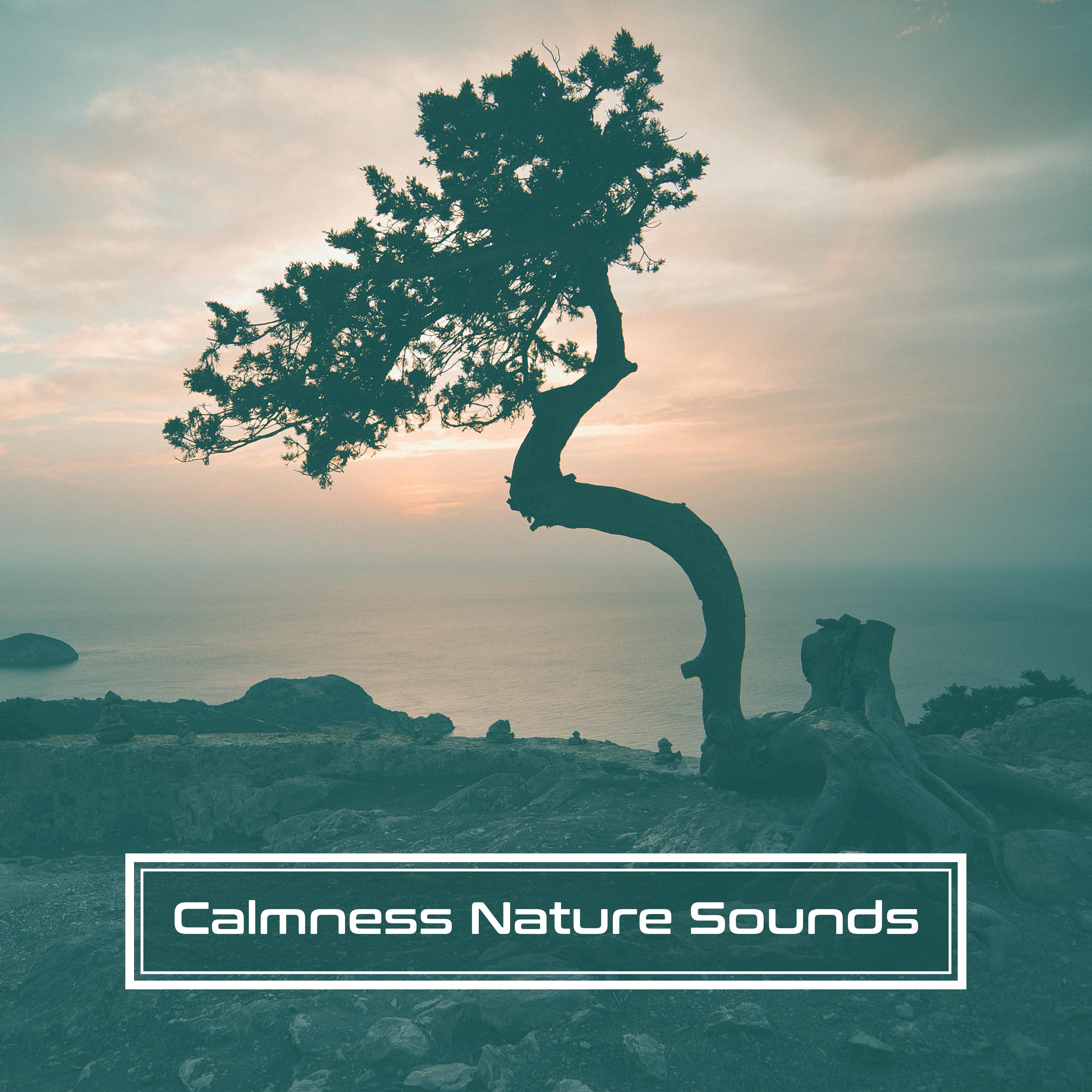 Calmness Nature Sounds  Music to Relax, Rest with New Age Sounds, Healing Waves, Soothing Wind Blows