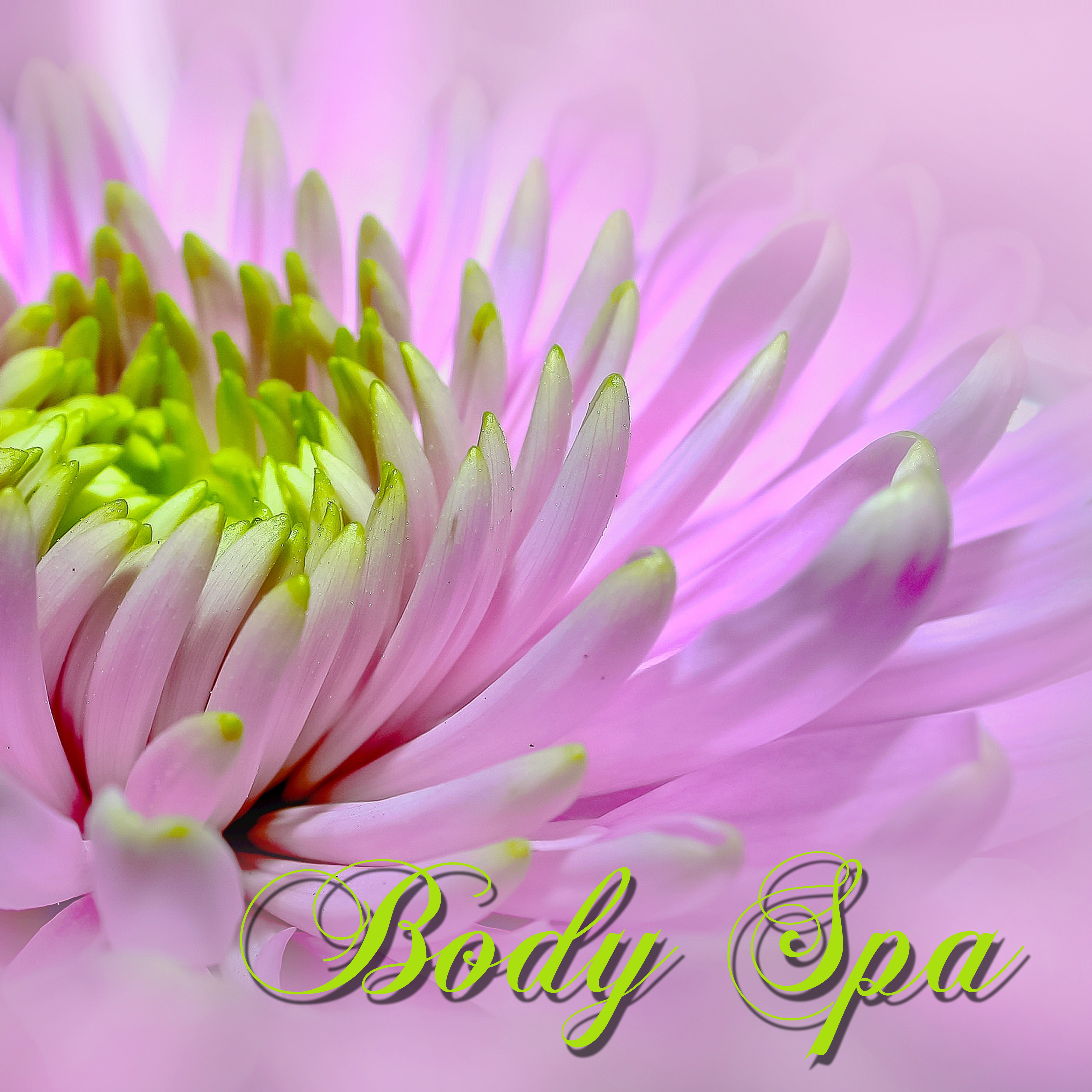 Body Spa  Peaceful Spa Songs for Massage, Body Scrub, Sauna, Turkish Bath  Spa Treatments