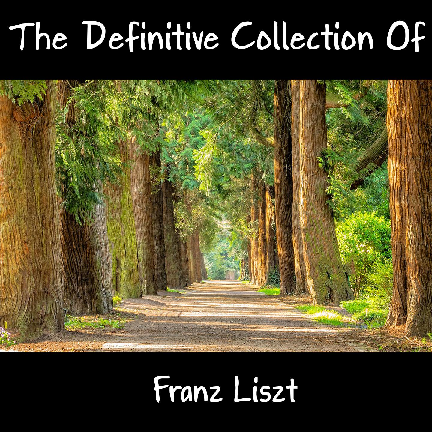 The Definitive Collection Of Franz Liszt