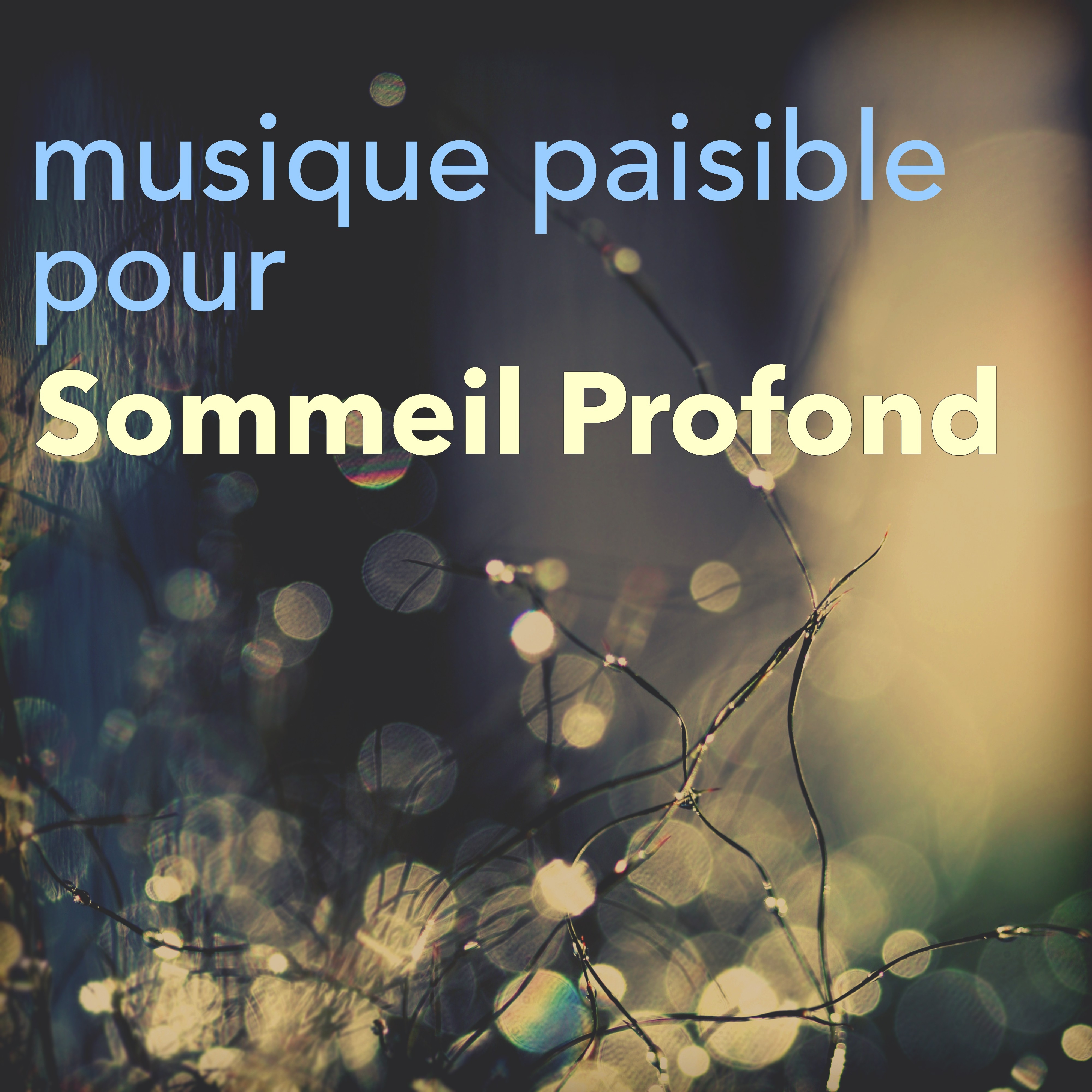 Musique Paisible pour Relaxation et Sommeil Profond  Musicothe rapie et Sophrologie pour De tente Totale