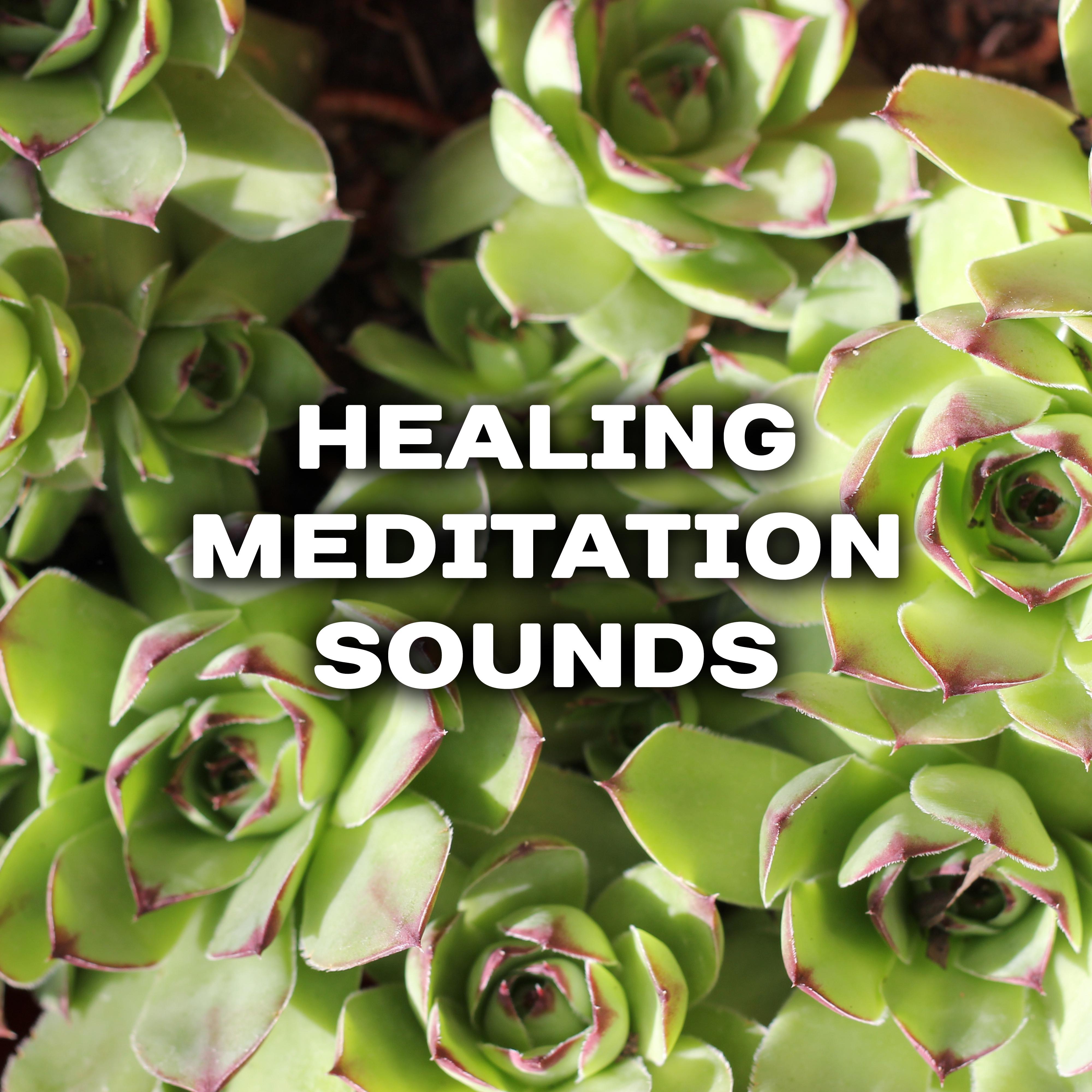 Healing Meditation Sounds  Rest with New Age Music, Buddha Relaxation, Meditate to Calm Mind  Body