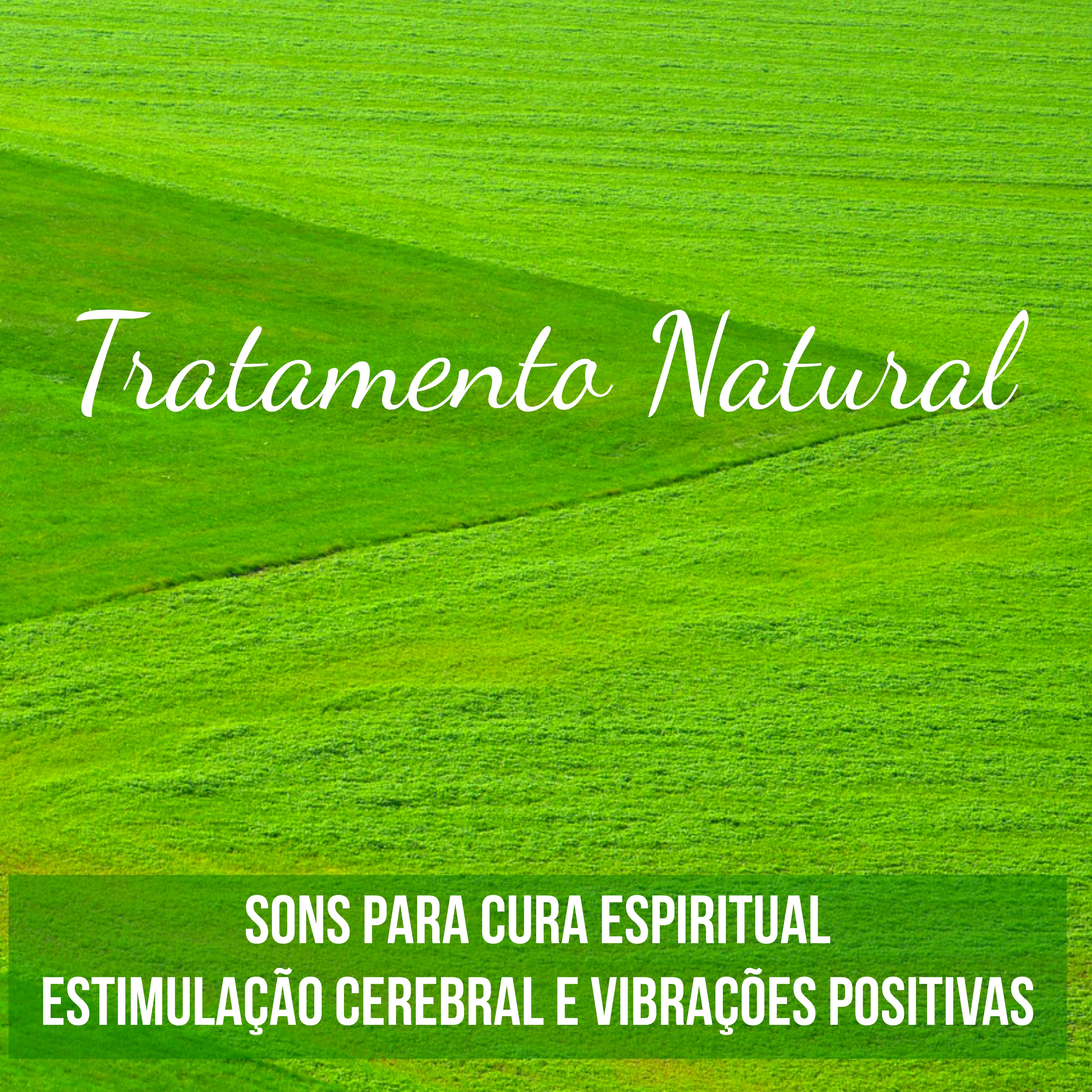 Tratamento Natural  Sons da Natureza Instrumentais New Age para Cura Espiritual Estimula o Cerebral e Vibra es Positivas