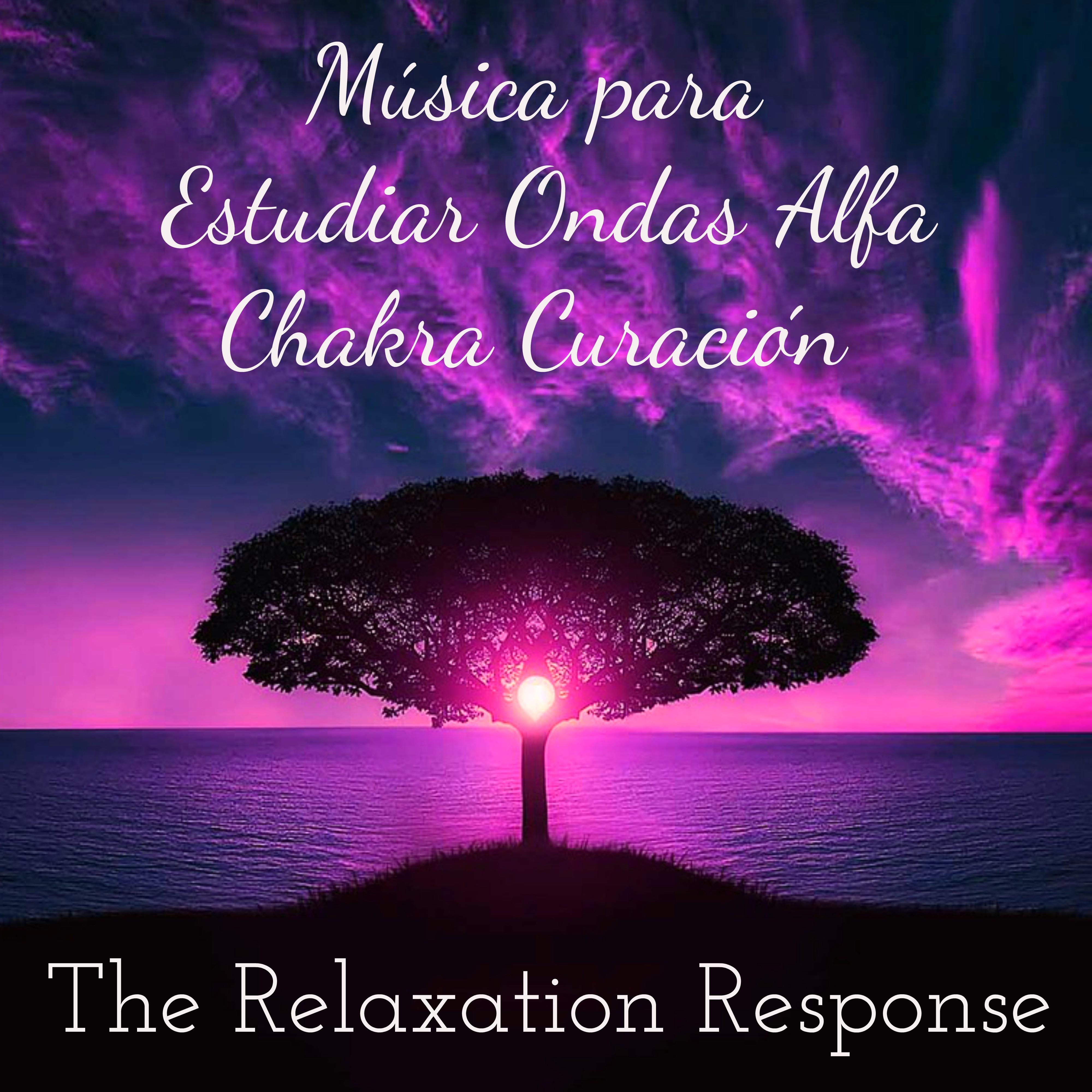 The Relaxation Response  Mu sica para Estudiar Ondas Alfa Chakra Curacio n Meditacio n Profunda y Mente Sana en Cuerpo Sano