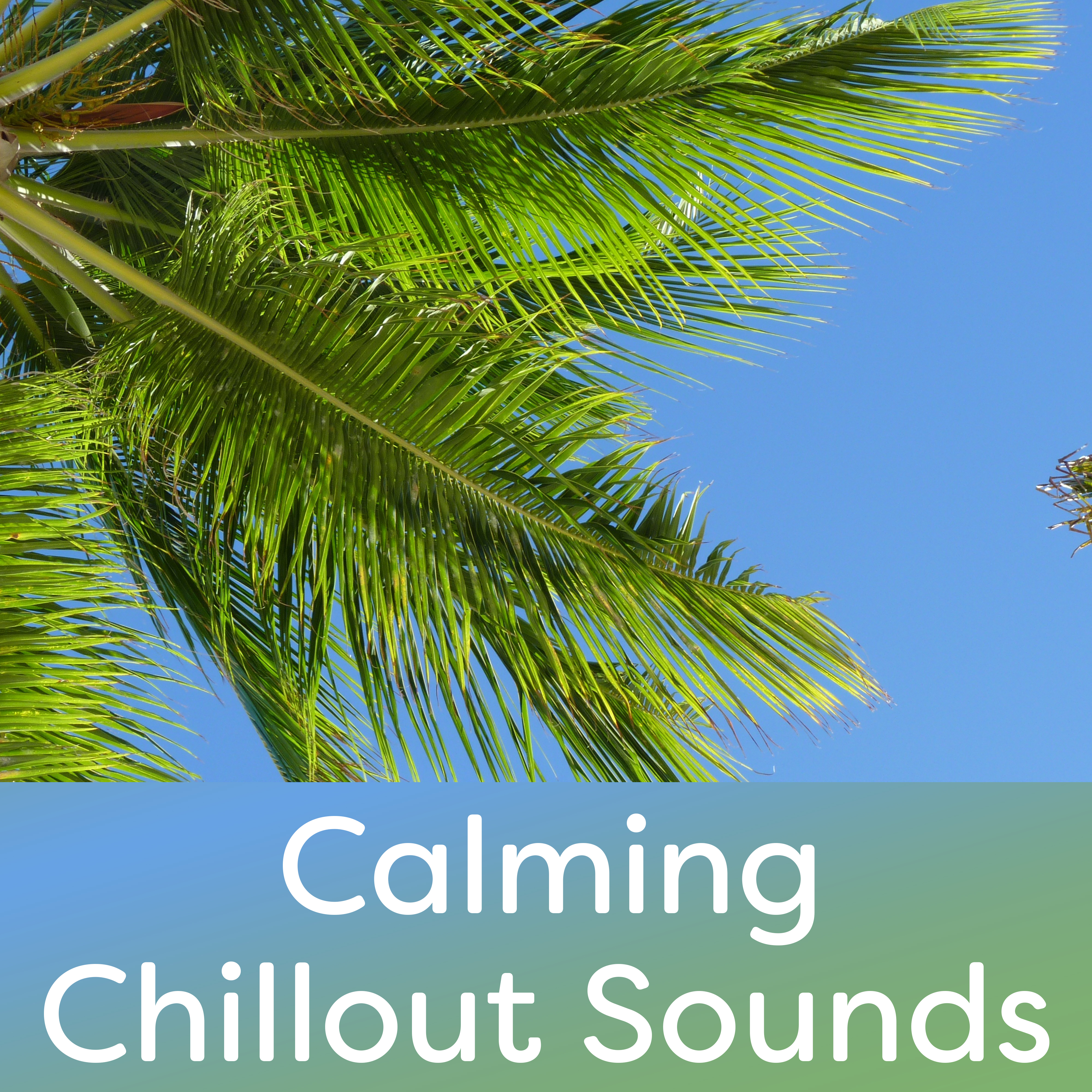 Calming Chillout Sounds  Stress Relief, Chill Out Music, Easy Listening, Calm Music to Rest