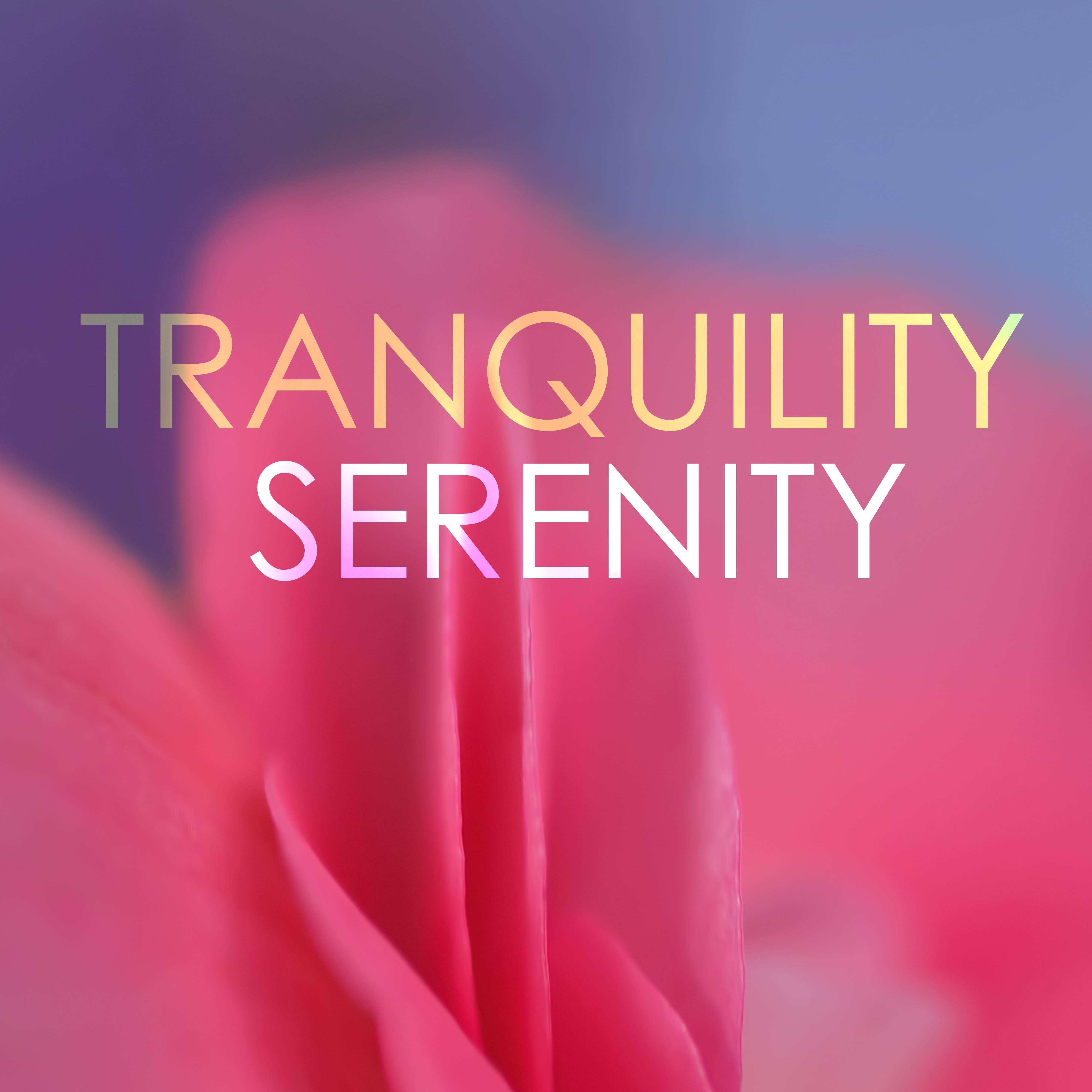 Serenity & Tranquility - REM Deep Sleep Inducing Tracks