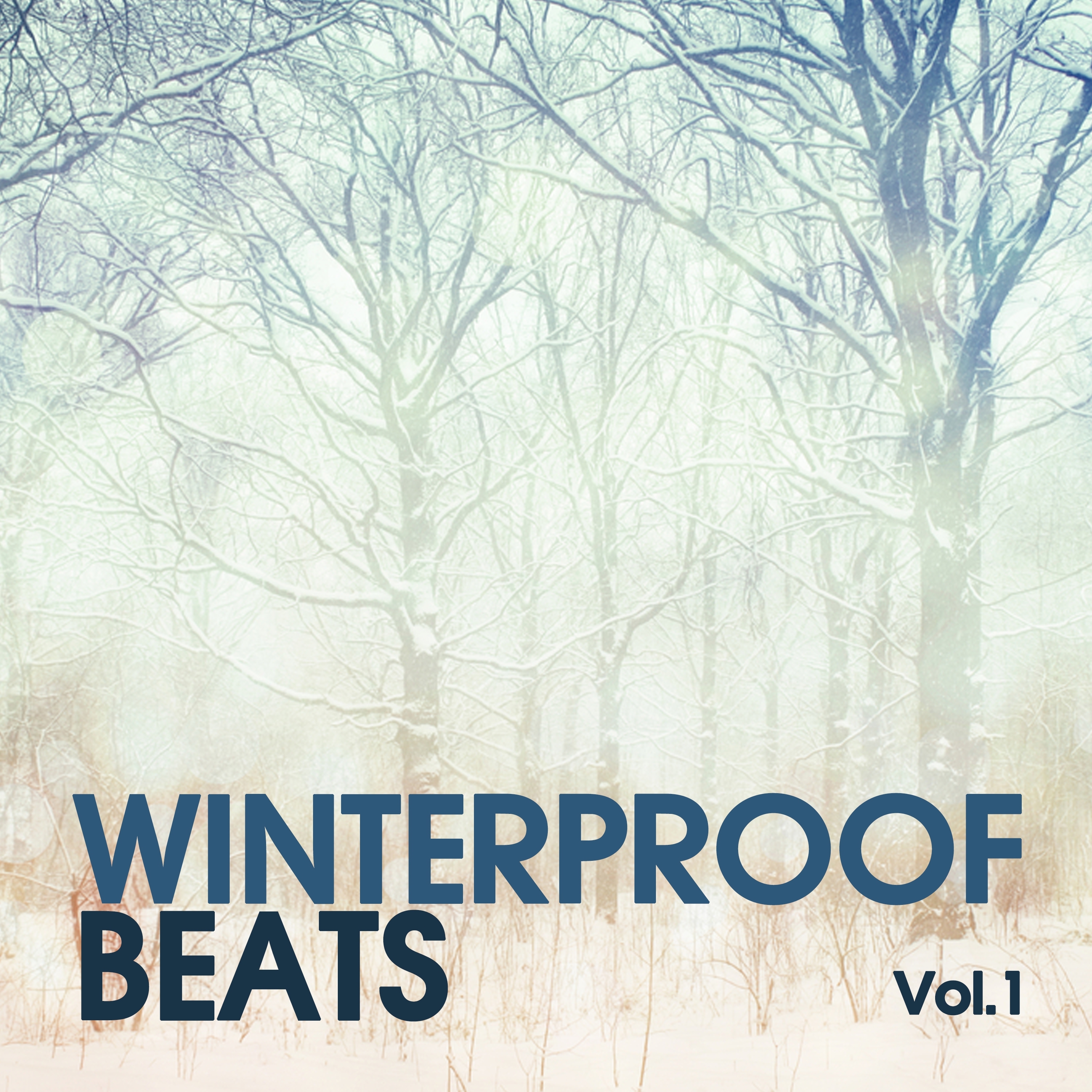 Winterproof Beats, Vol. 1