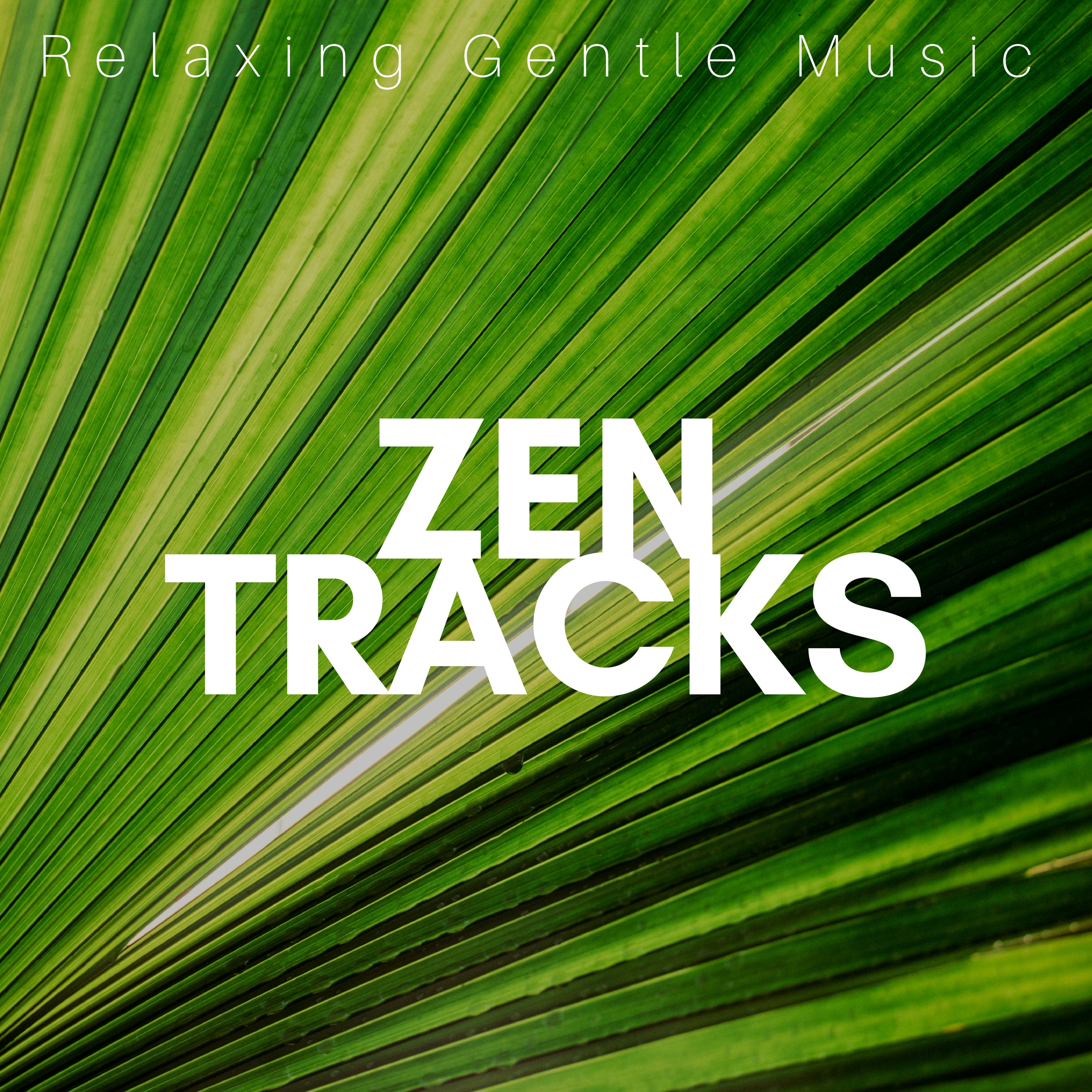 Zen Tracks: Relaxing Gentle Music for Yoga, Massage, Meditation, Relax Time