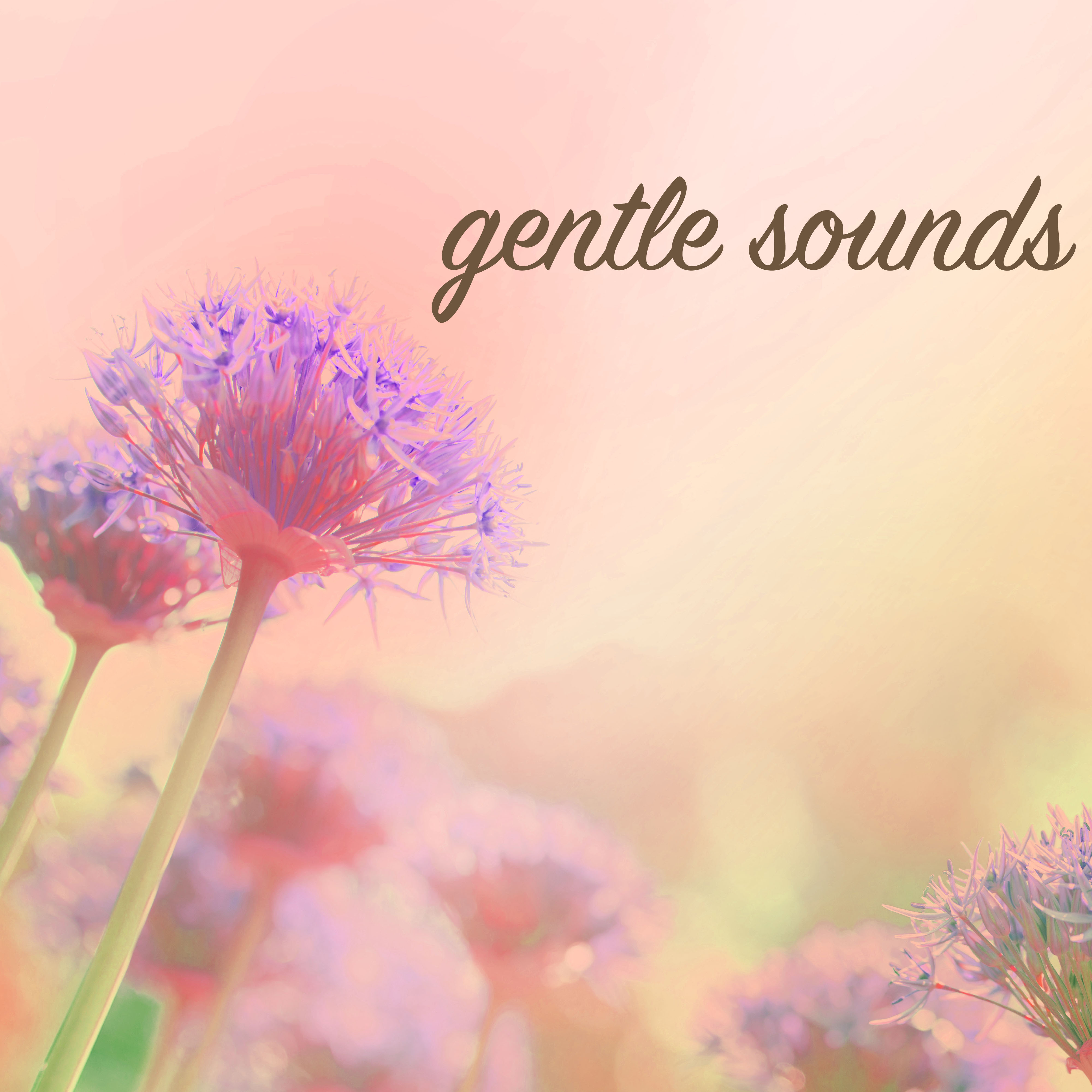 Gentle Sounds - White Noise for Massage Session, Sauna & Spa
