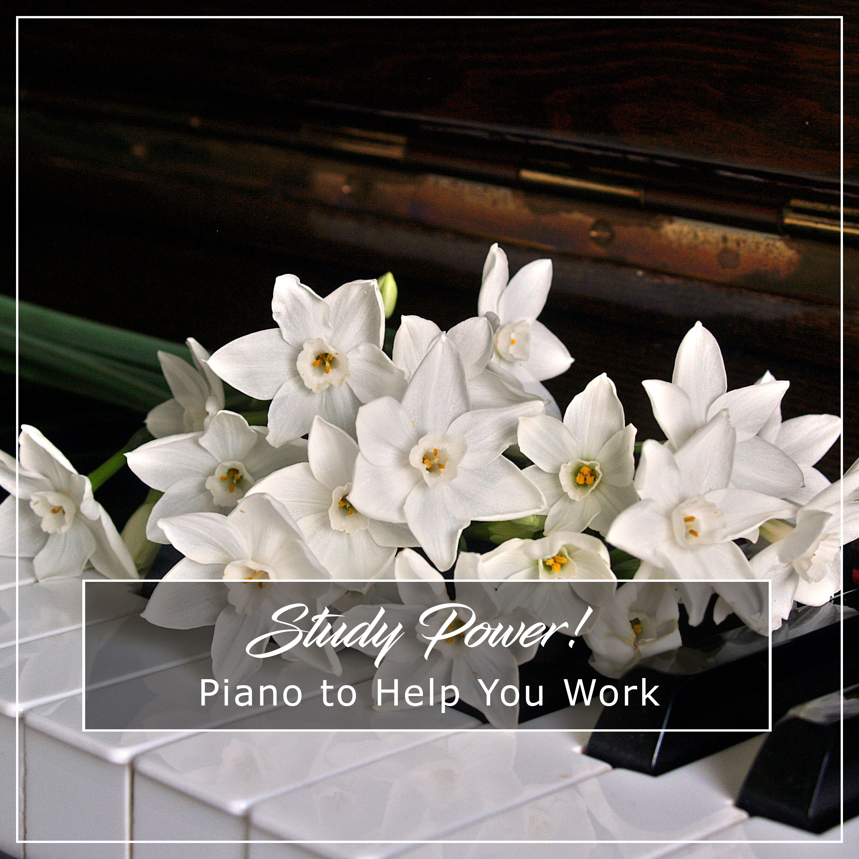 #Study Power! Amazing Piano to Help You Work