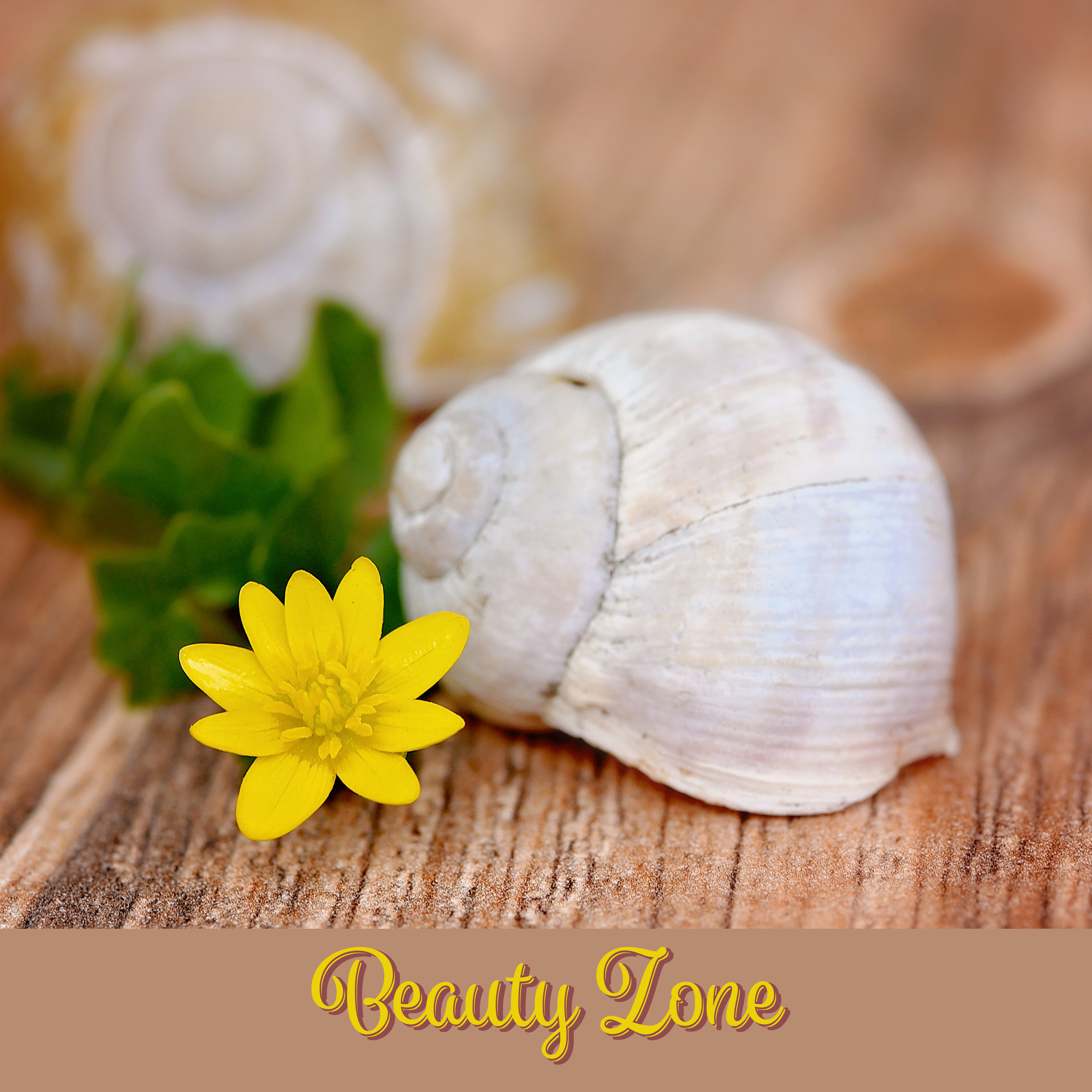 Beauty Zone - Treatments for the Body, Calming Music, Total Mute, Massage at Home, Mask in the Cabinet, Beauty Studio