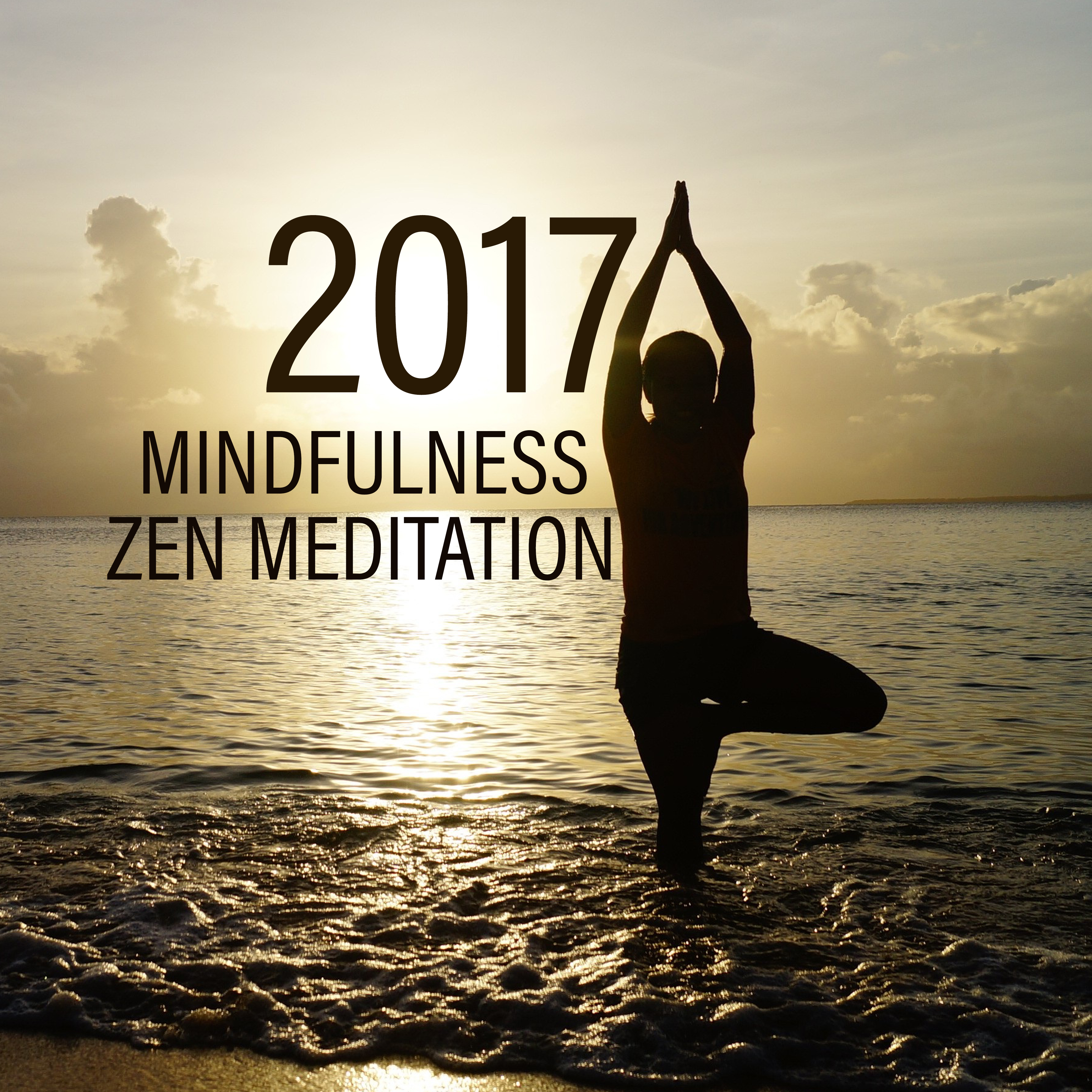 2017 Mindfulness Zen Meditation