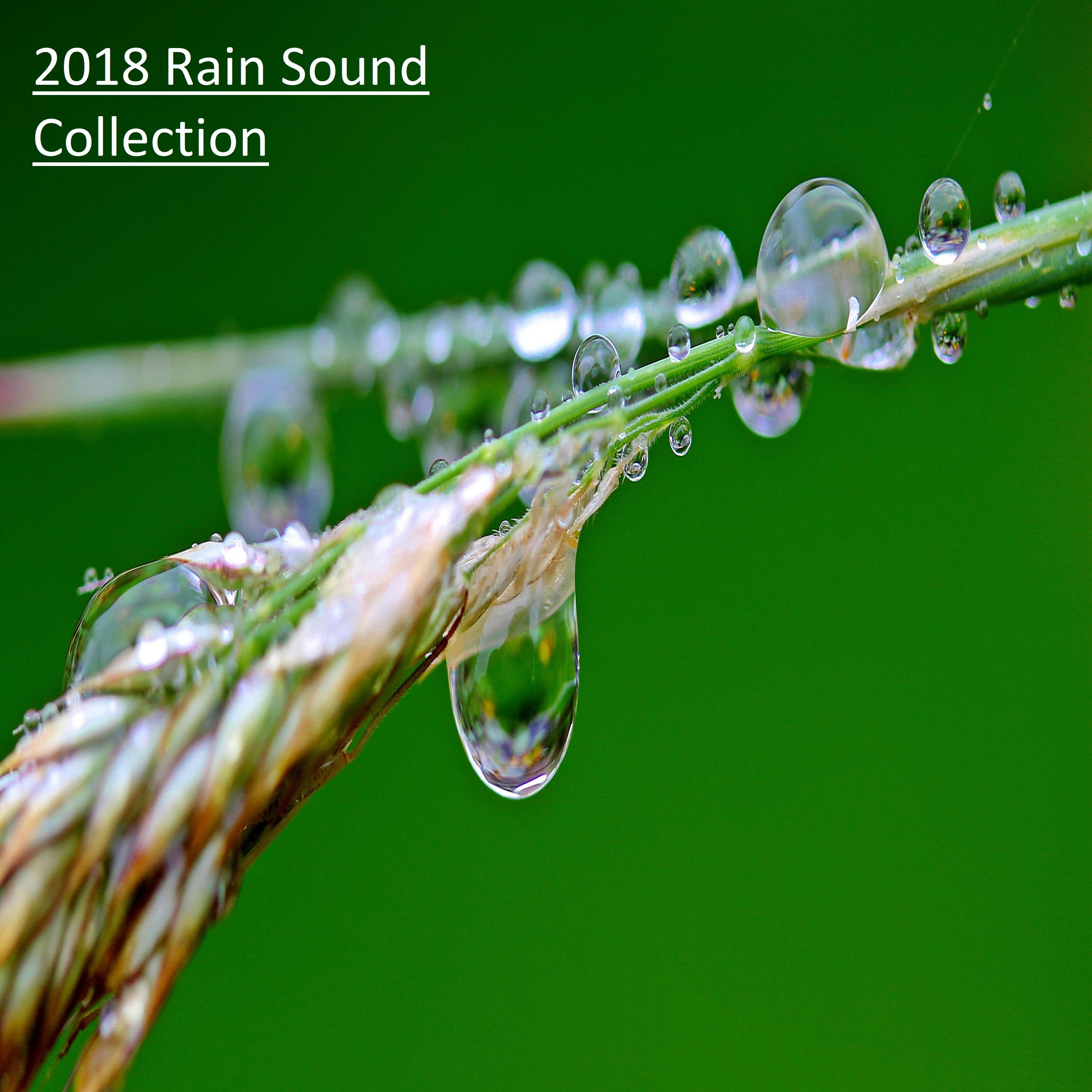 2018 Rain Sound Collection