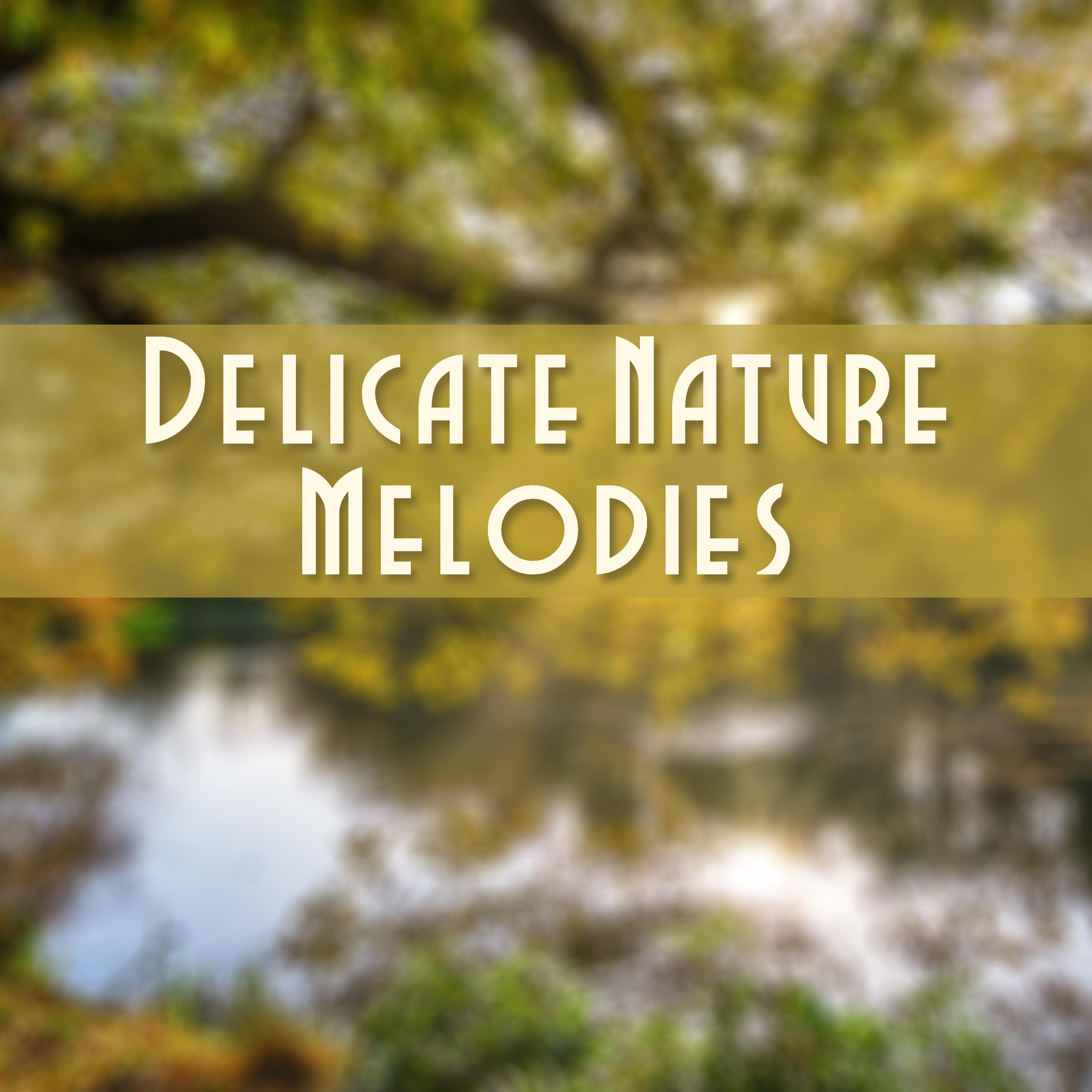 Delicate Nature Melodies