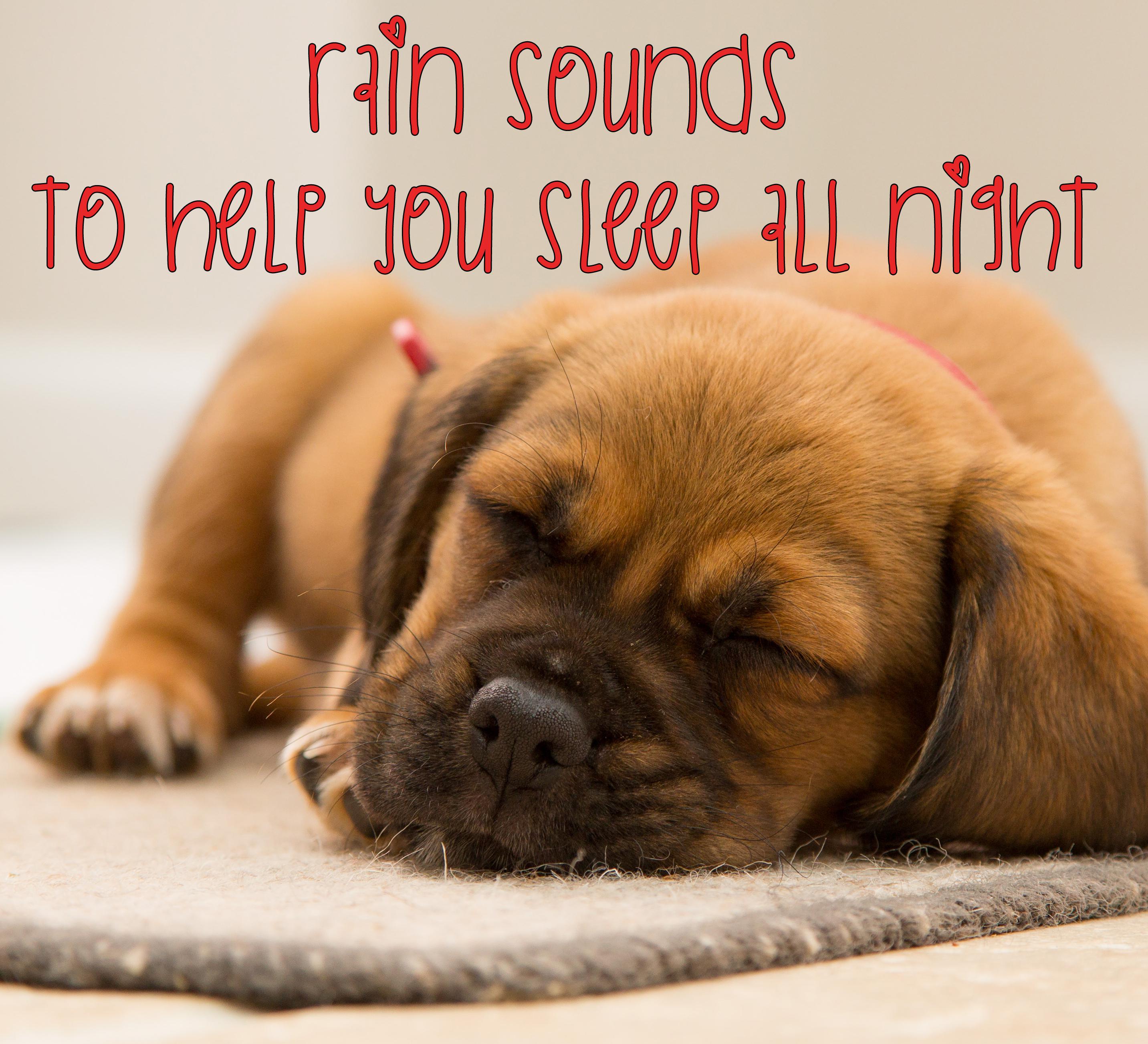 25 Rain Sleep Sounds for 8 Hours Sleep - Loopable Sounds for Sleep