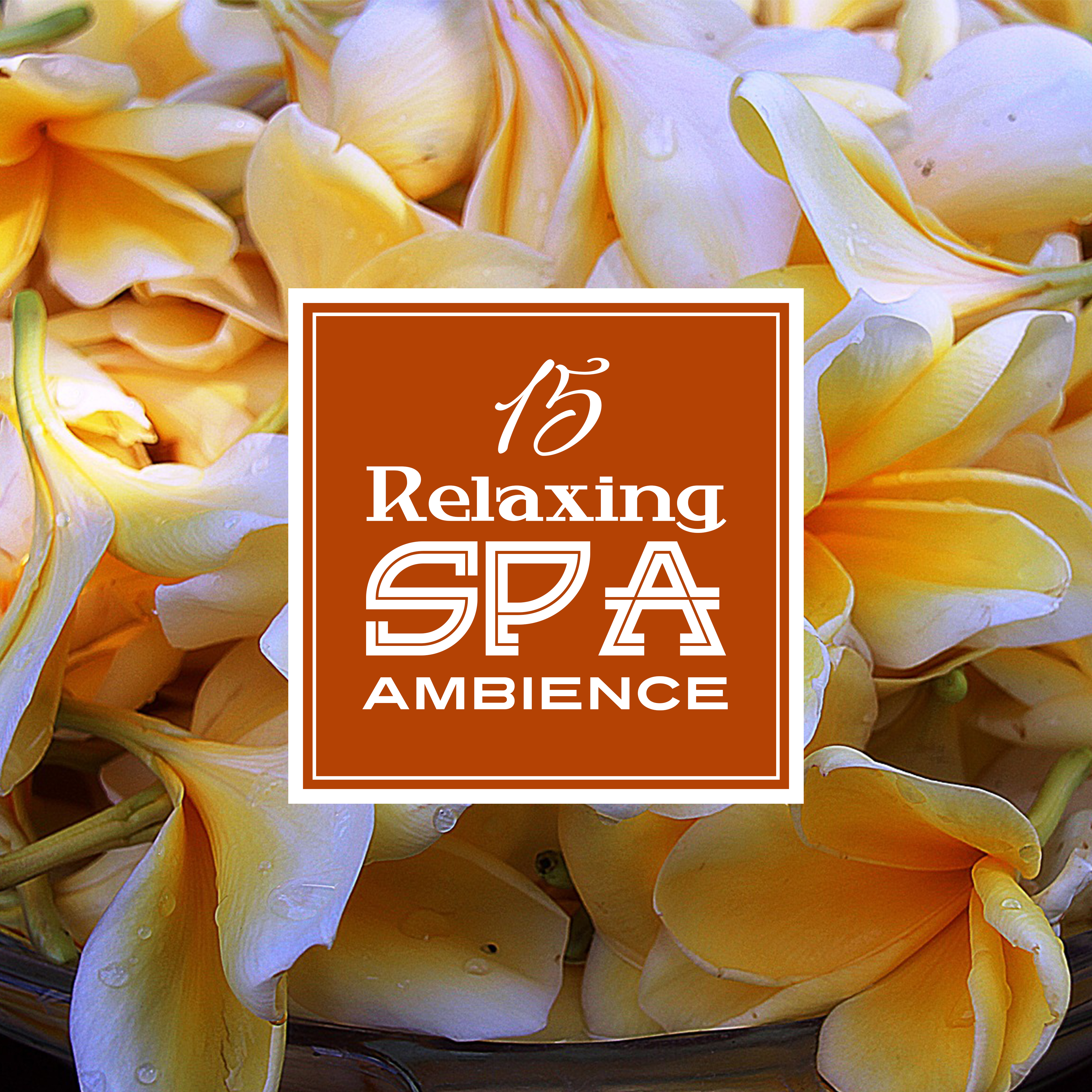 15 Relaxing Spa Ambience