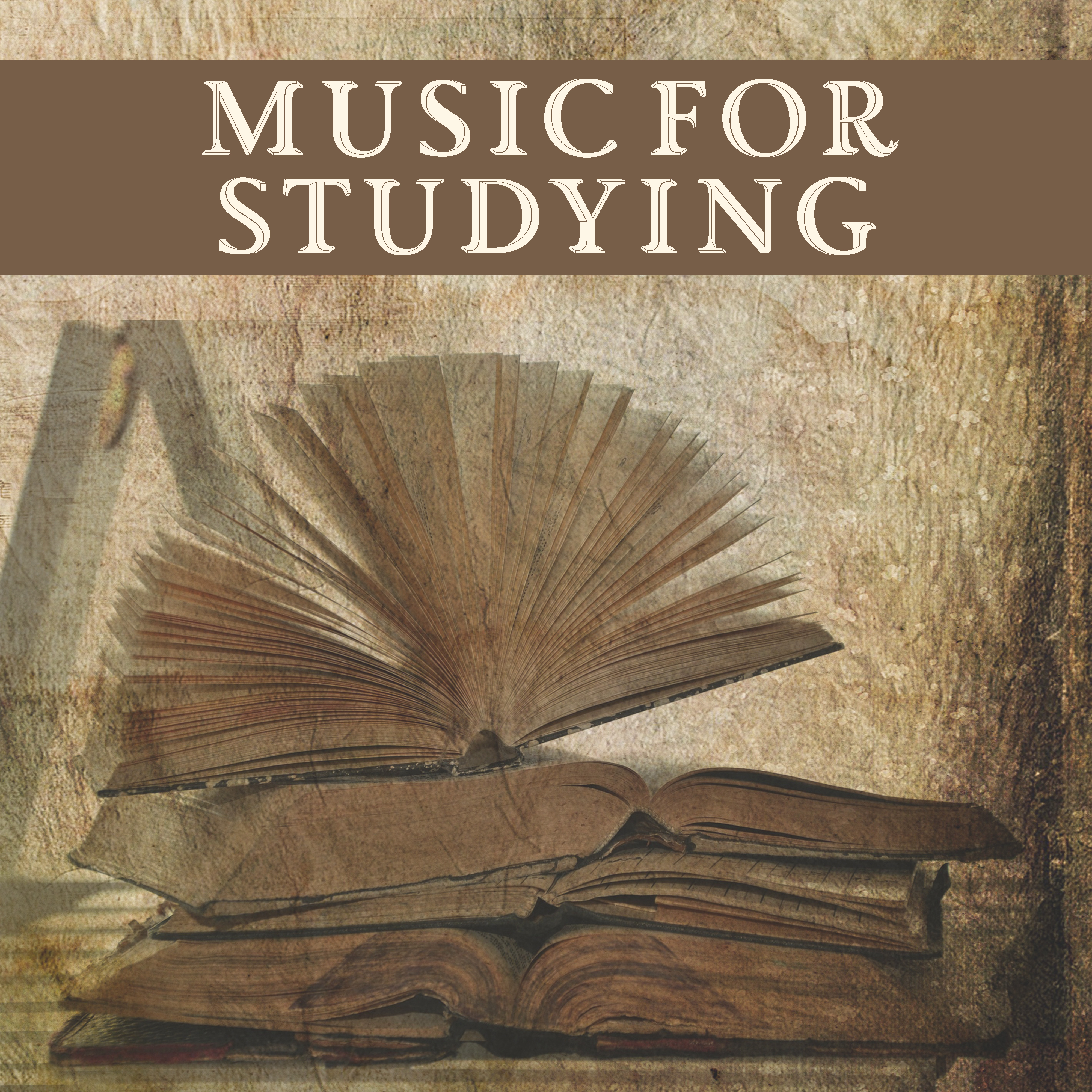 Music for Studying  Study with Great Composers, Music for Better Focus, Classical Instrumental Sounds