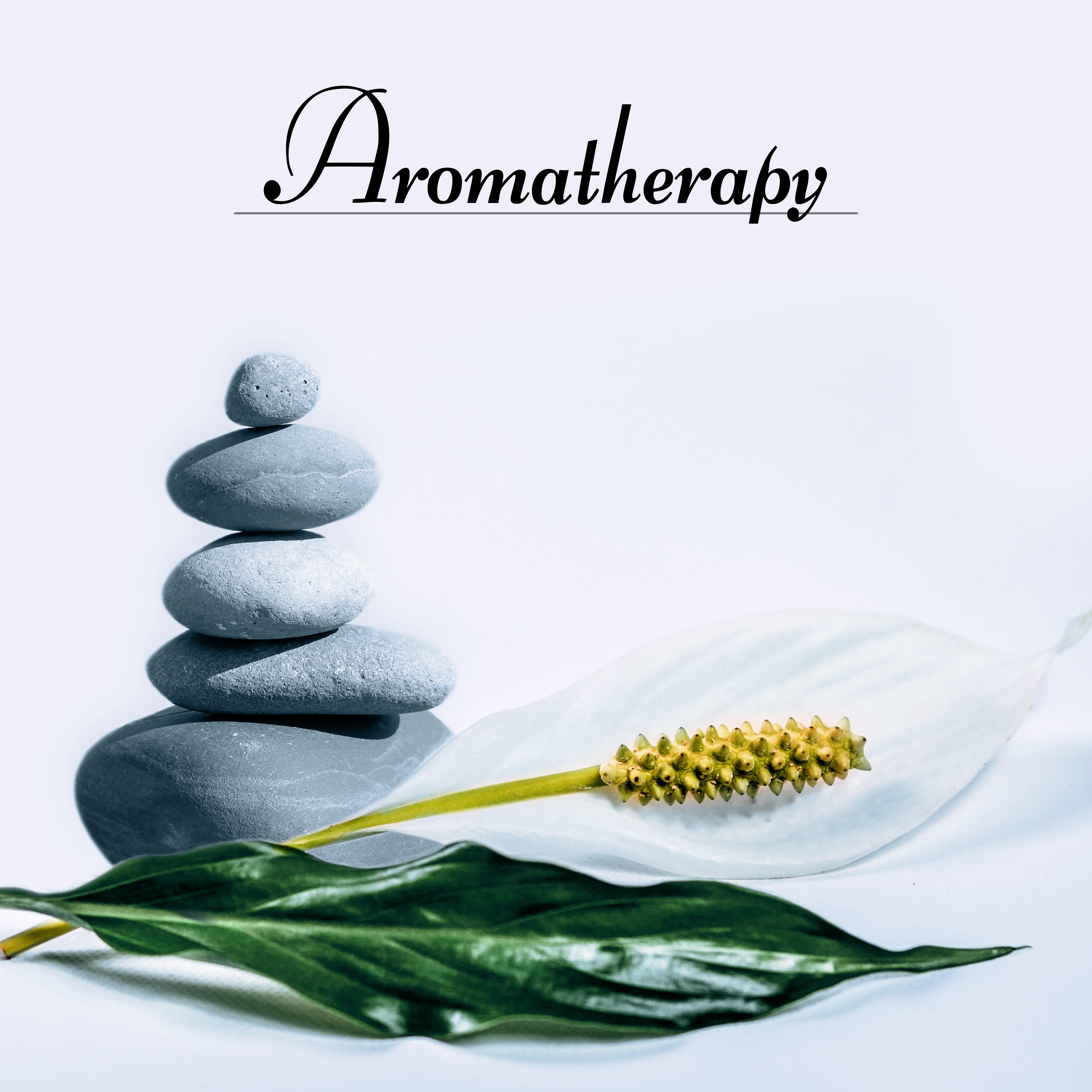 Aromatherapy - Spirituality, Morning Prayer, Mantras, Relaxation, Pranayama, Sleep Meditation, Yoga & Wellness