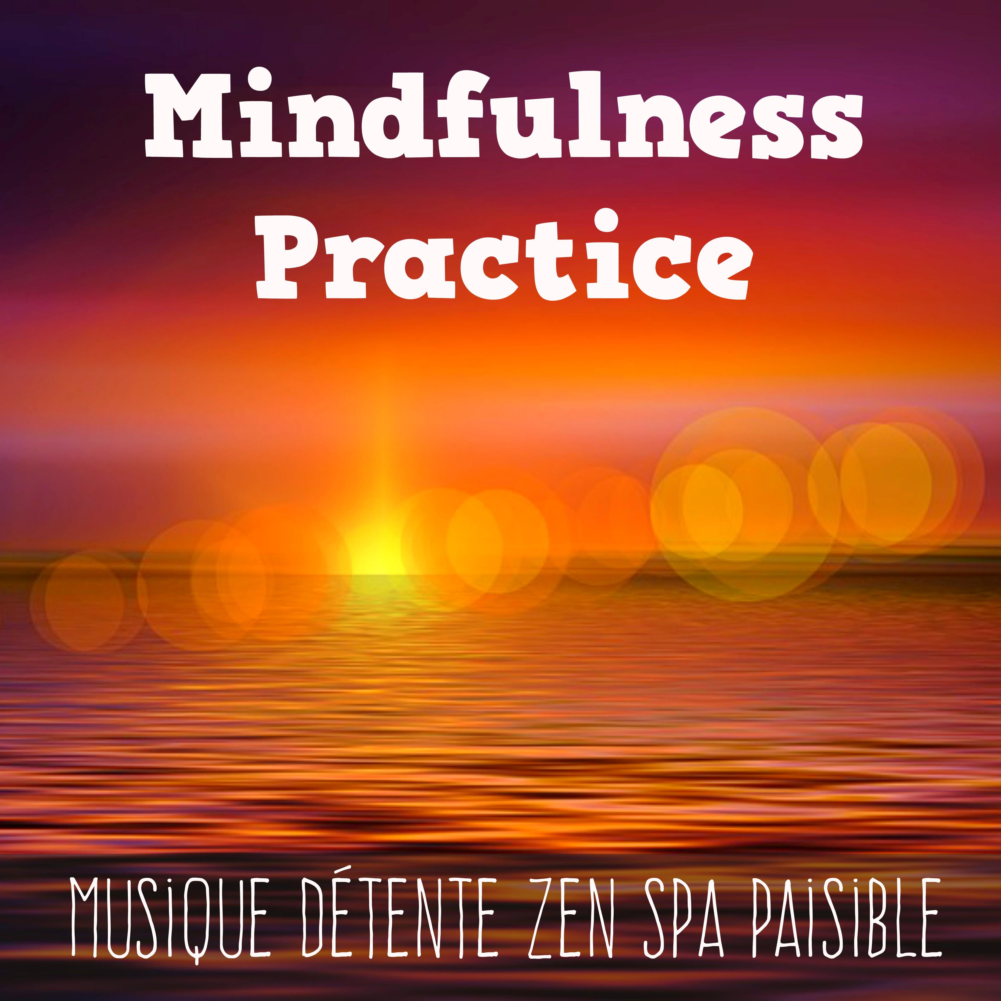 Mindfulness Practice  Musique De tente Zen Spa Paisible pour Gue rison Emotionnelle avec Sons de la Nature New Age Spirituels