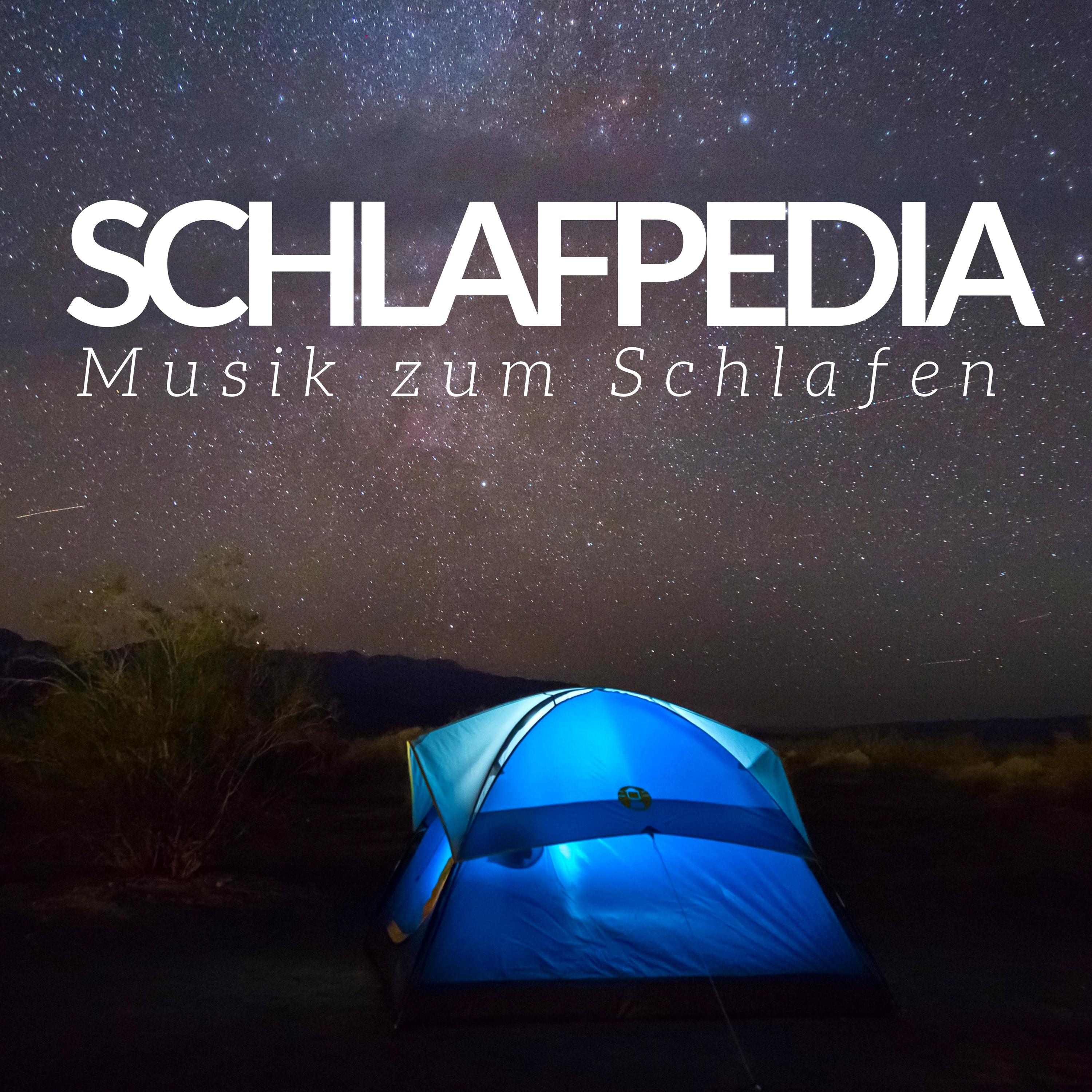 Schlafpedia  Enzyklop dische Musik zum Schlafen