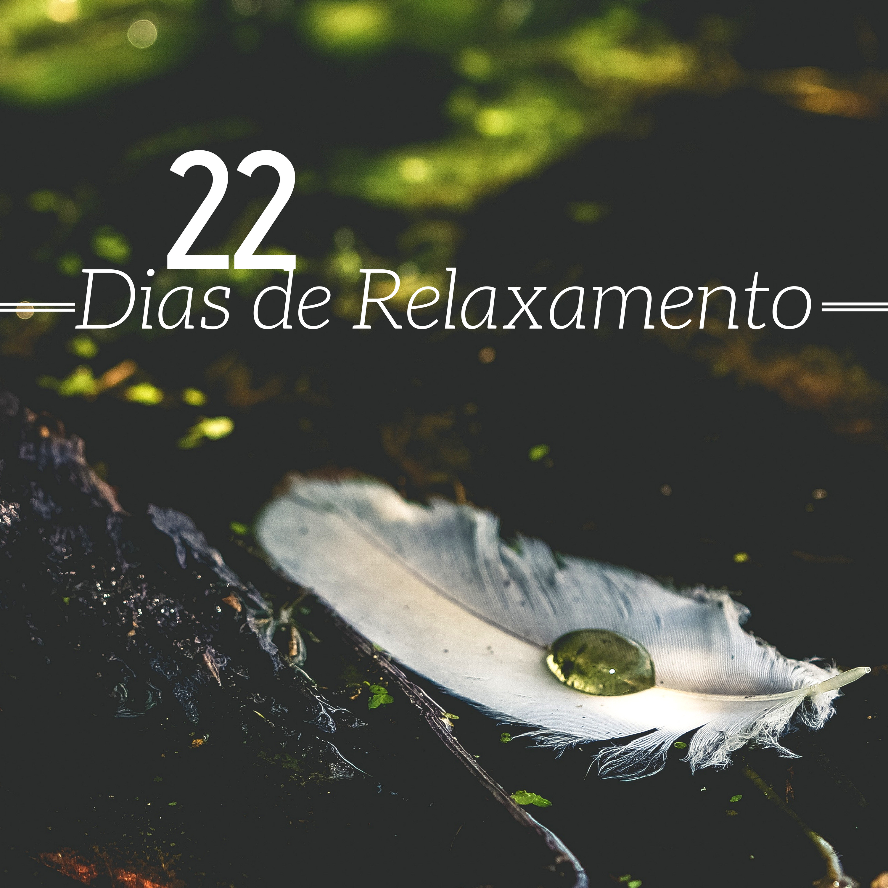 22 Dias de Relaxamento  Mu sica relaxante para o seu crescimento espiritual, mu sica relaxante para a mente e o corpo