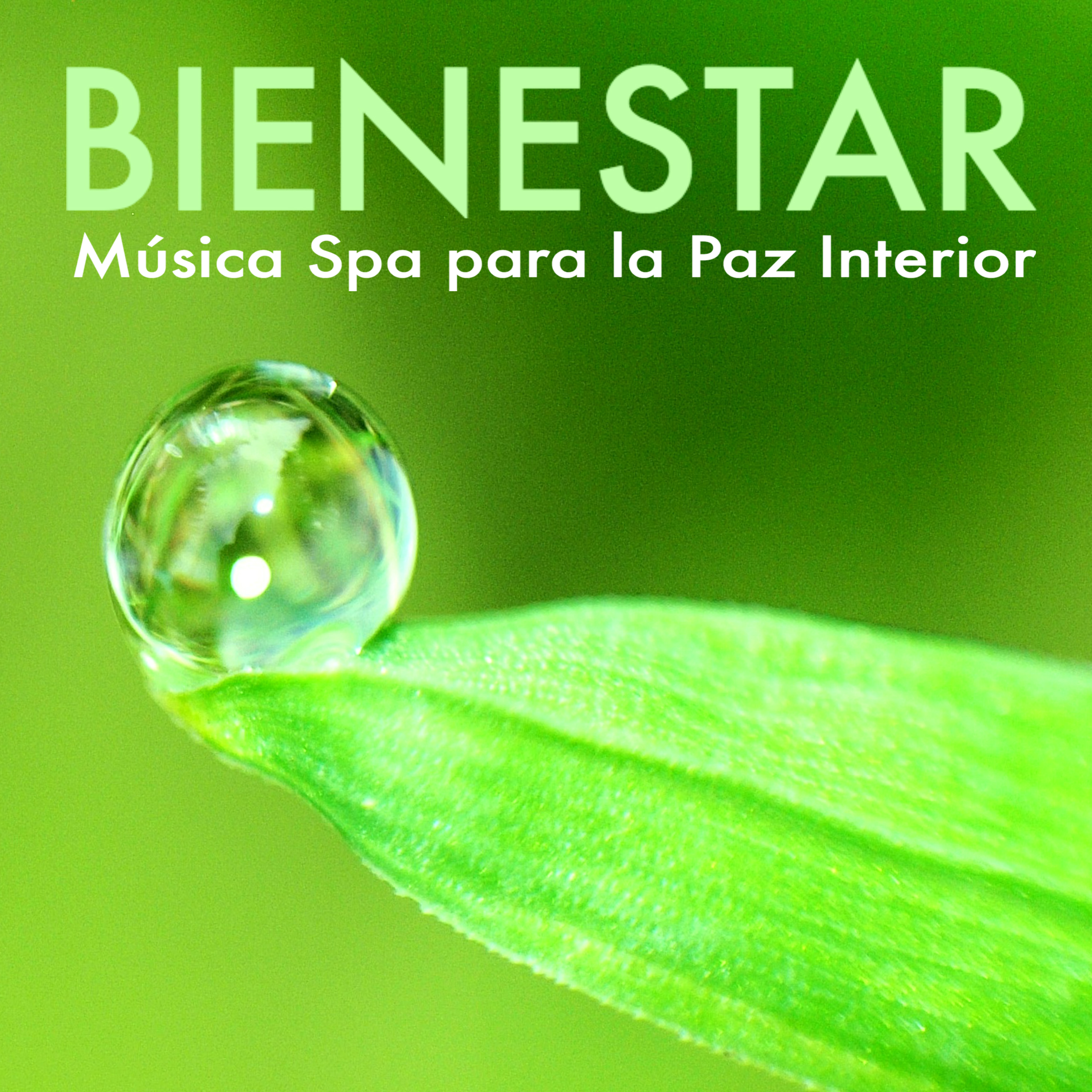 Bienestar Spa - Musica para Encontrar la Paz Interior, Canciones para Sanar el Cuerpo y el Alma
