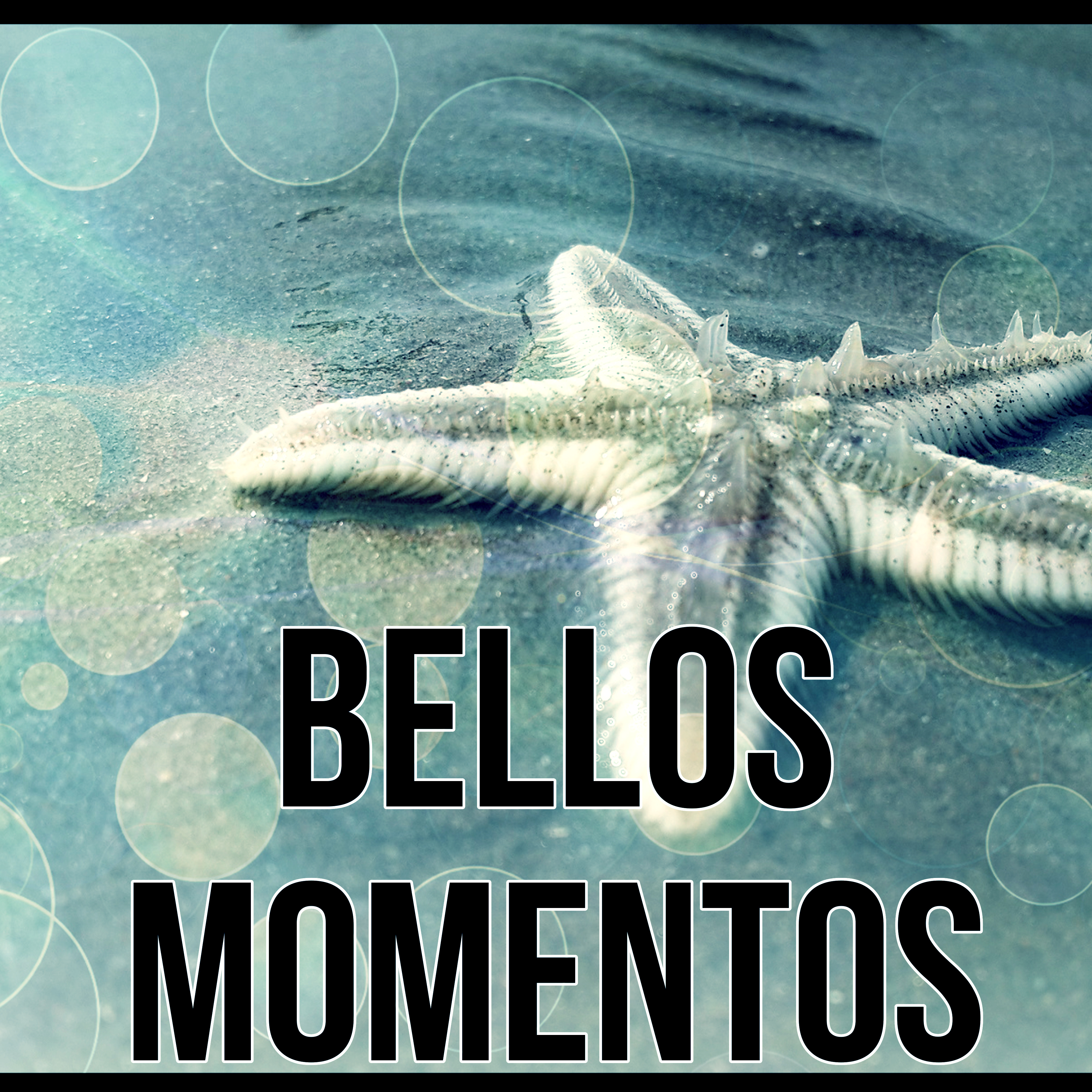 Bellos Momentos  Bienestar, Musica para Sanar el Alma, Musica para Meditacion, Reiki, Ayurveda, Meditar