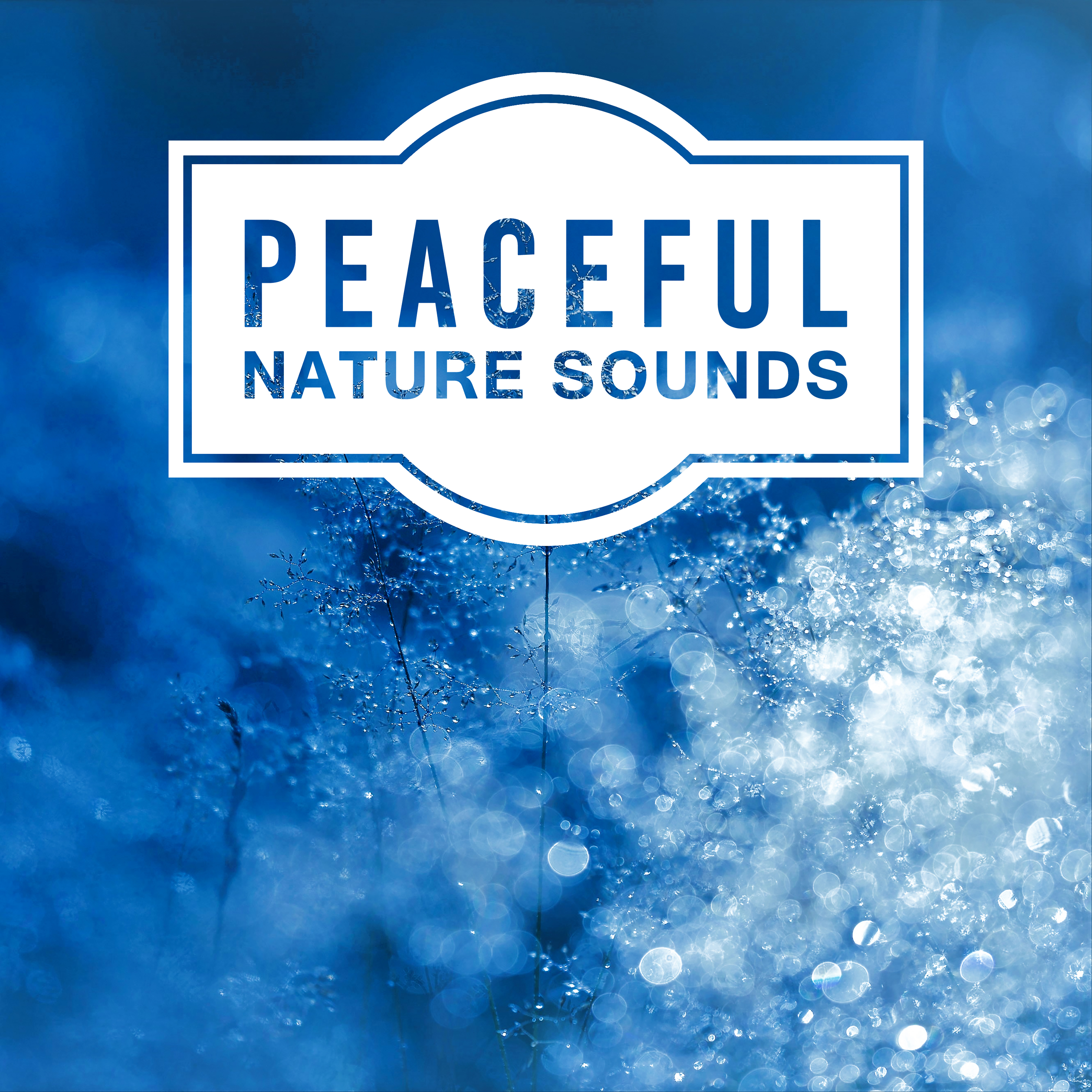 Peaceful Nature Sounds  New Age Music for Relaxation, Pure Waves, Healing Water, Sounds of Sea, Soft Music to Rest, Calm Down