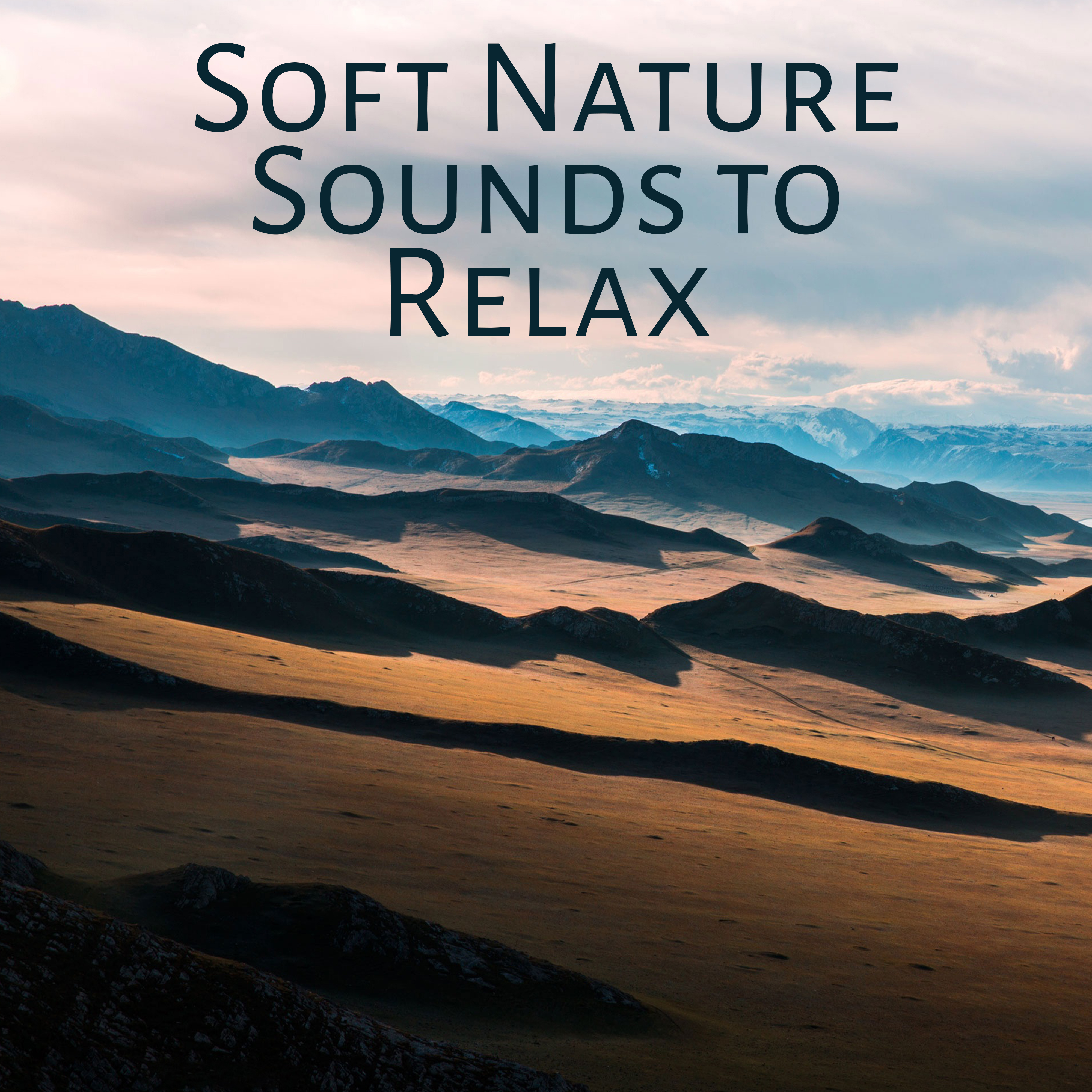 Soft Nature Sounds to Relax  Calming Nature Waves, Healing Melodies, Music to Rest, Inner Harmony