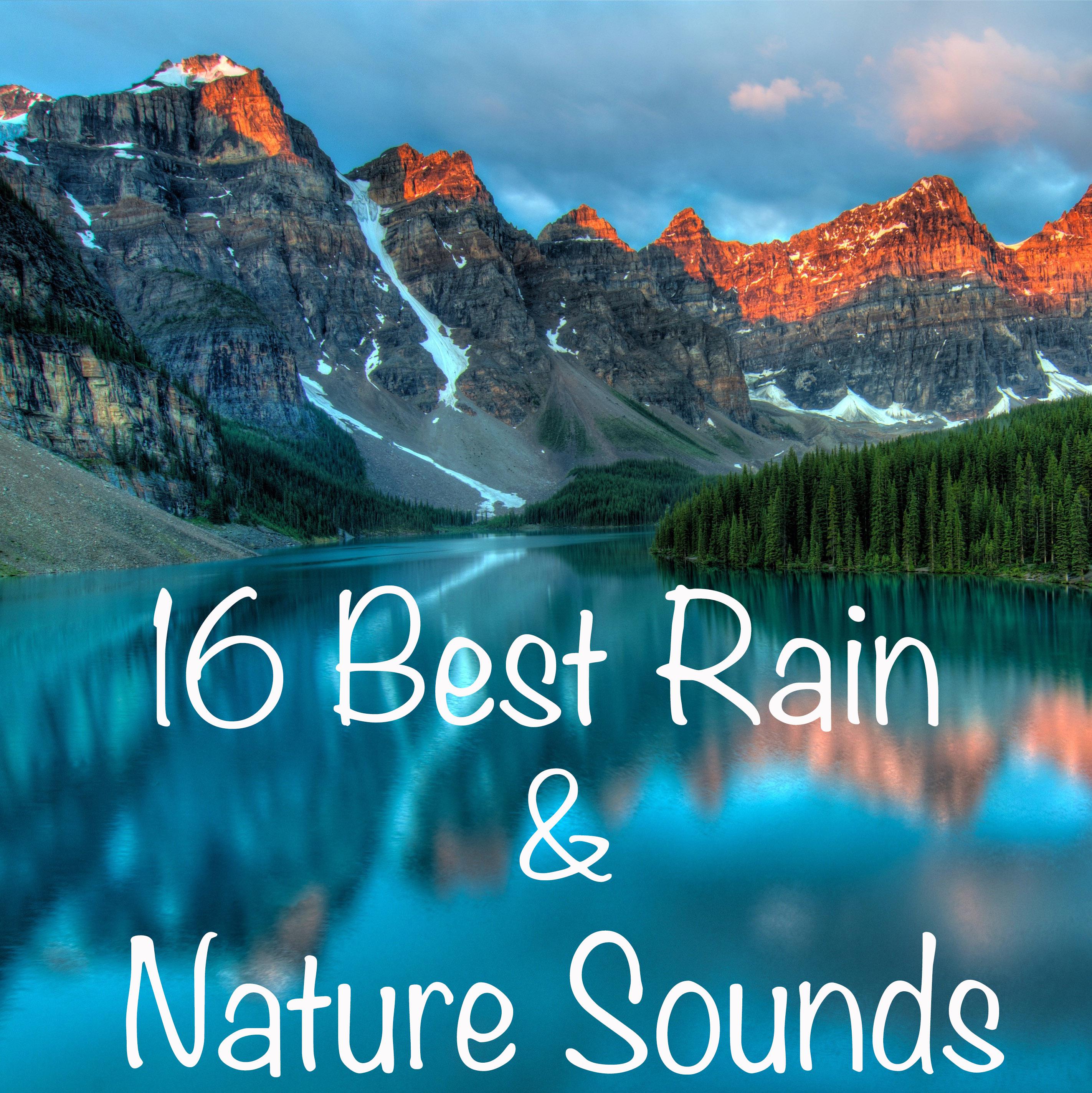 16 Best Rain And Nature Sounds with no Fades