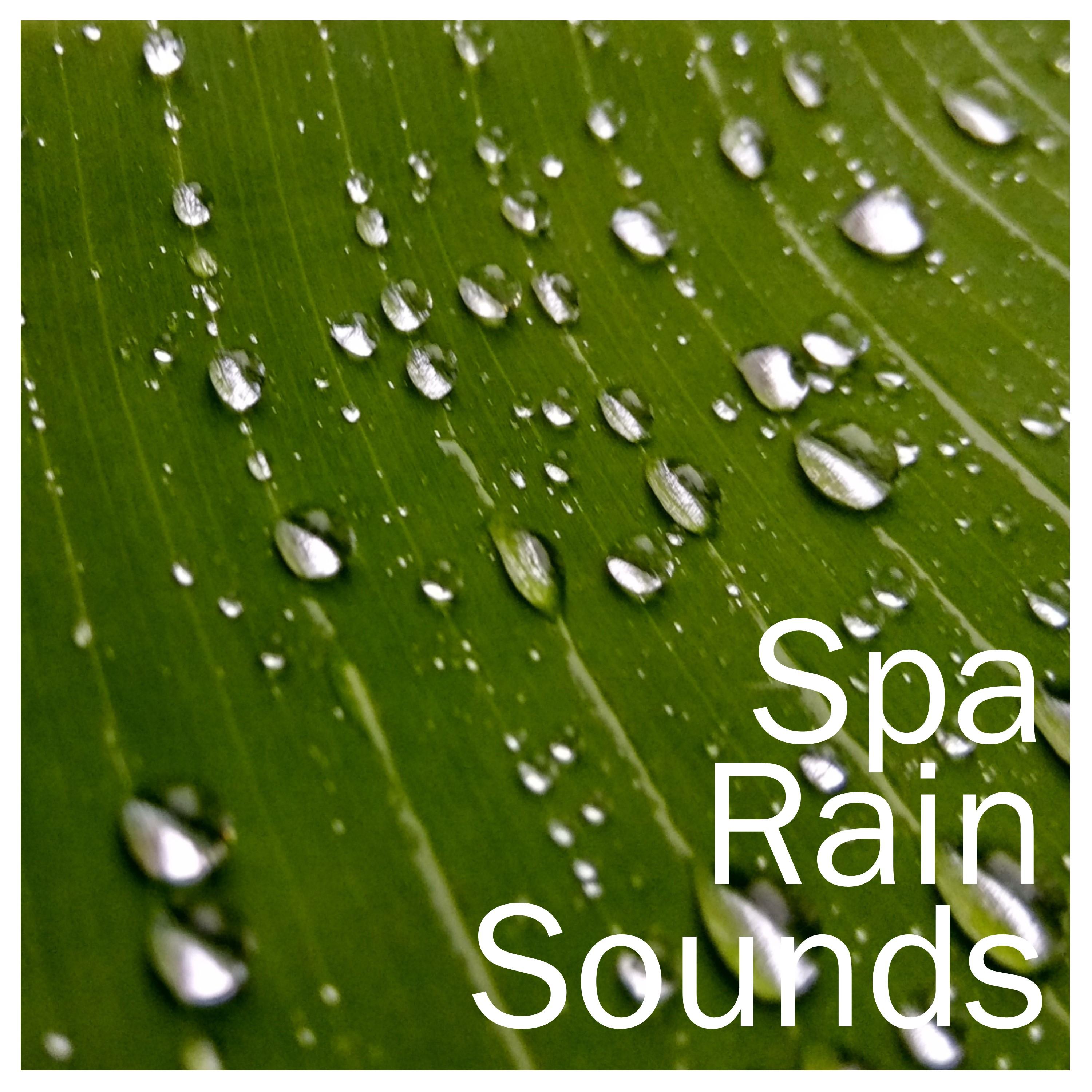 15 Stress Relieving Loopable Relaxation Rain Sounds for Spa