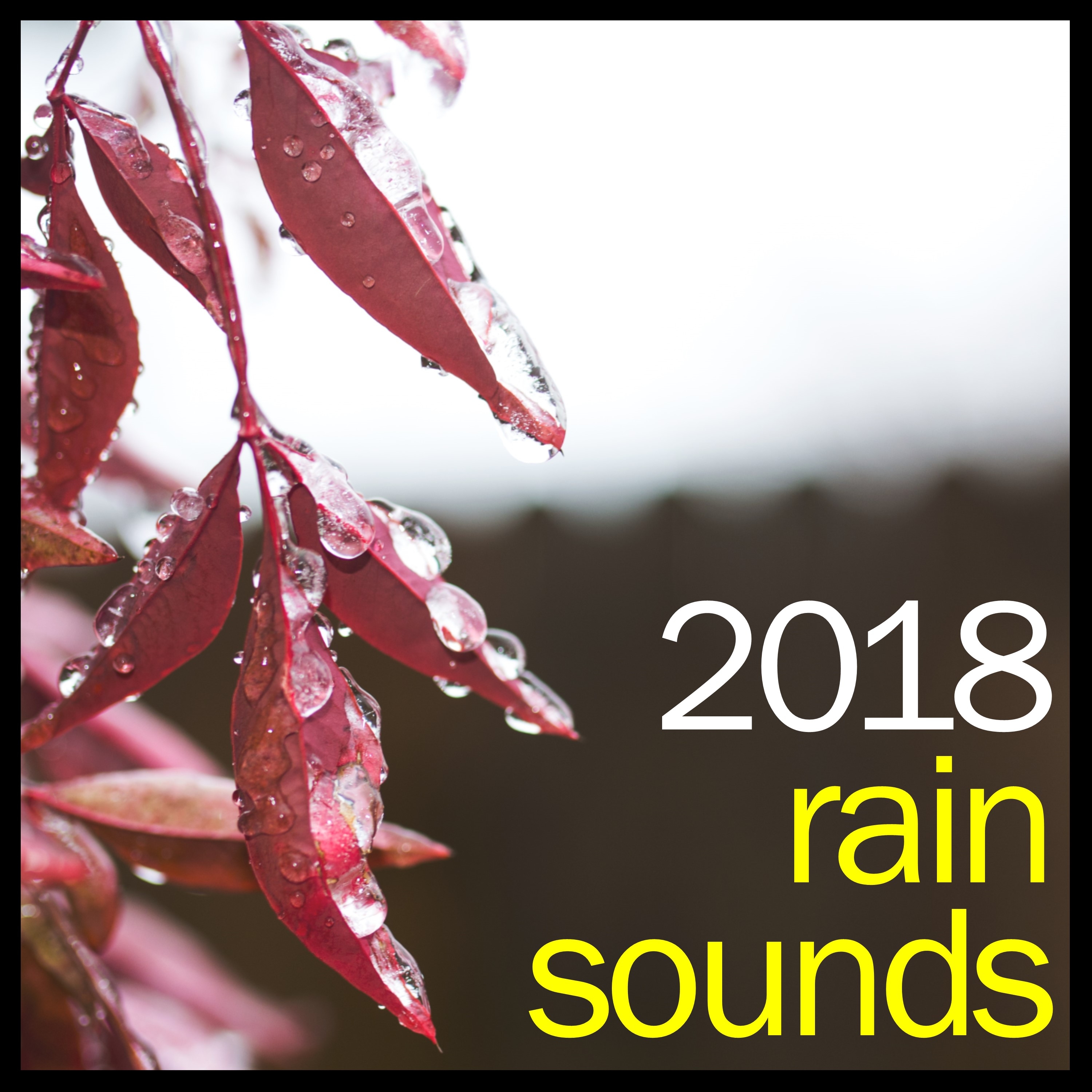 #2018 Spa Music Rain Collection - Thunder and Calming Rain