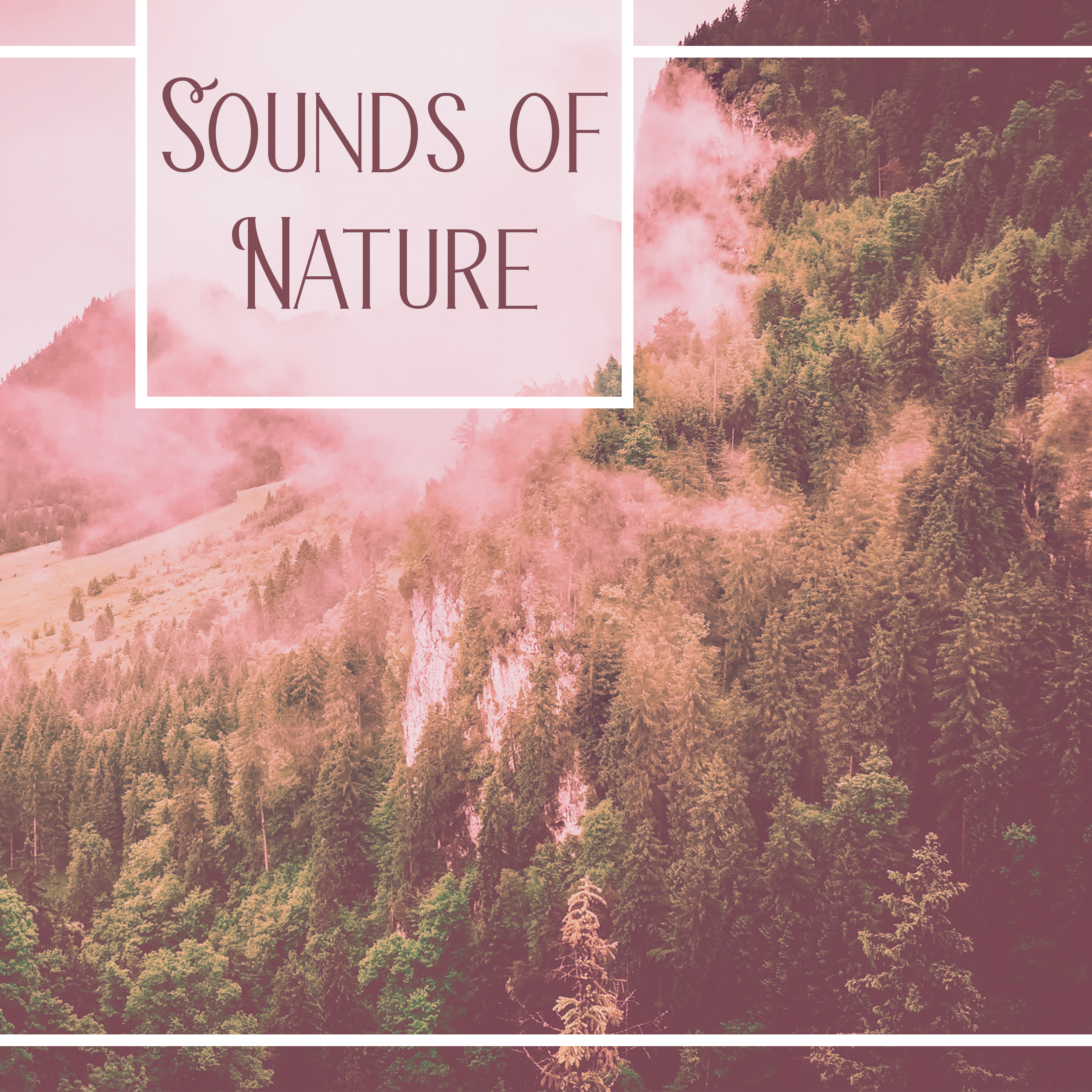 Sounds of Nature  Relaxing Music, Nature Sounds, Relief Stress, Reduce Anxiety, Rest, Instrumental New Age