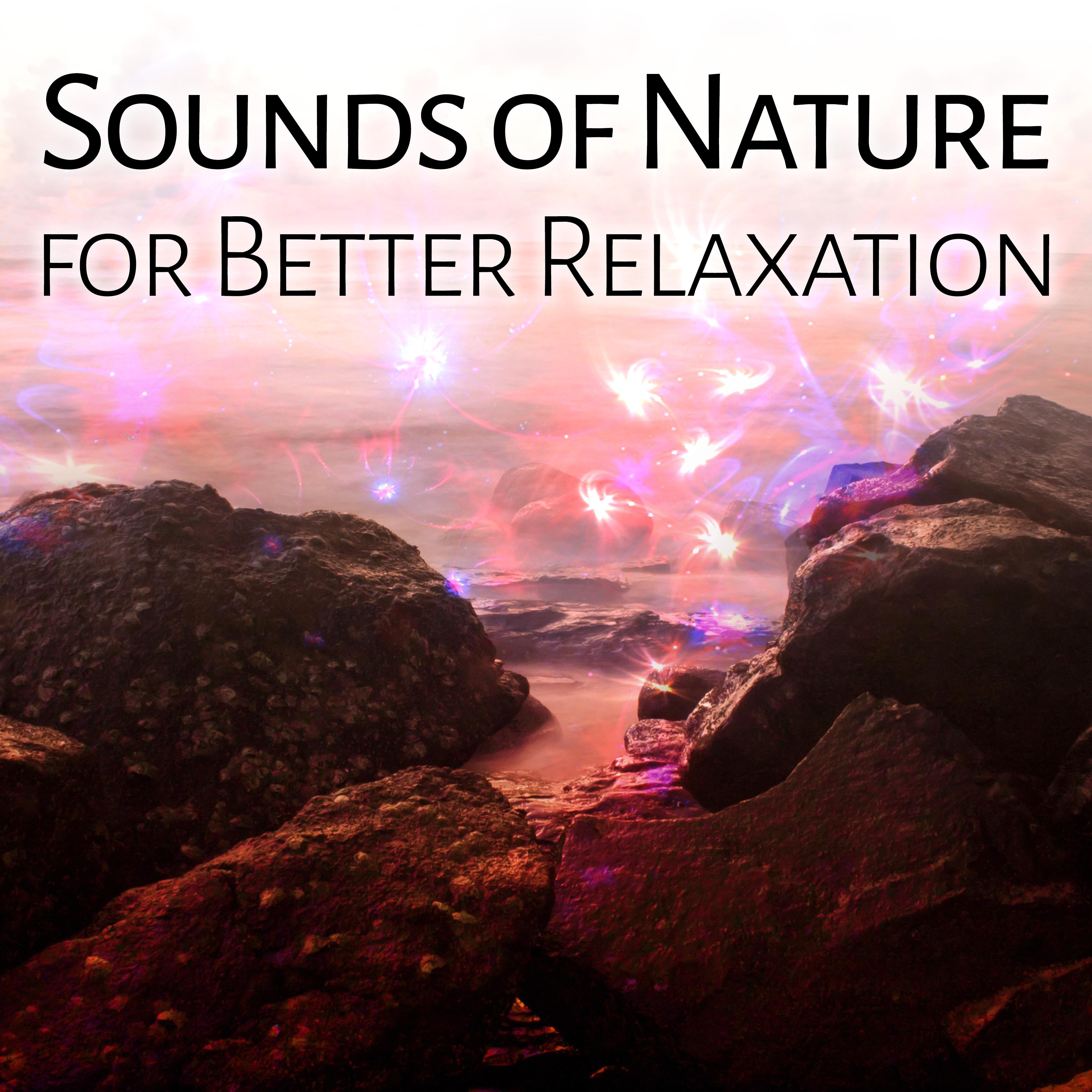 Sounds of Nature for Better Relaxation  Birds Music, Nature Sounds, Deep Sleep, Peaceful Mind, Stress Relief