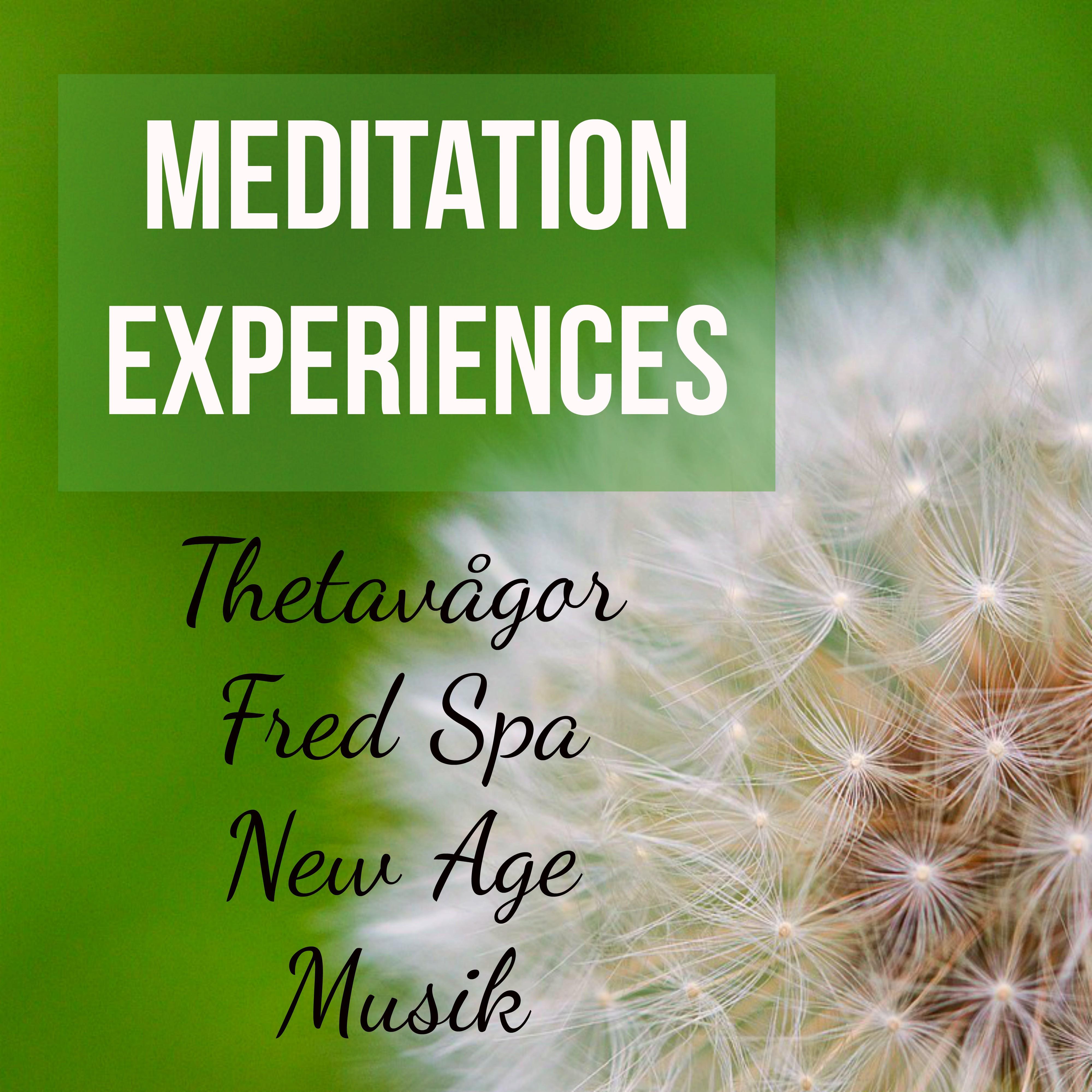 Meditation Experiences  Thetav gor Fred Spa New Age Musik f r Reiki Helande S mncykel och Chakra Balansering