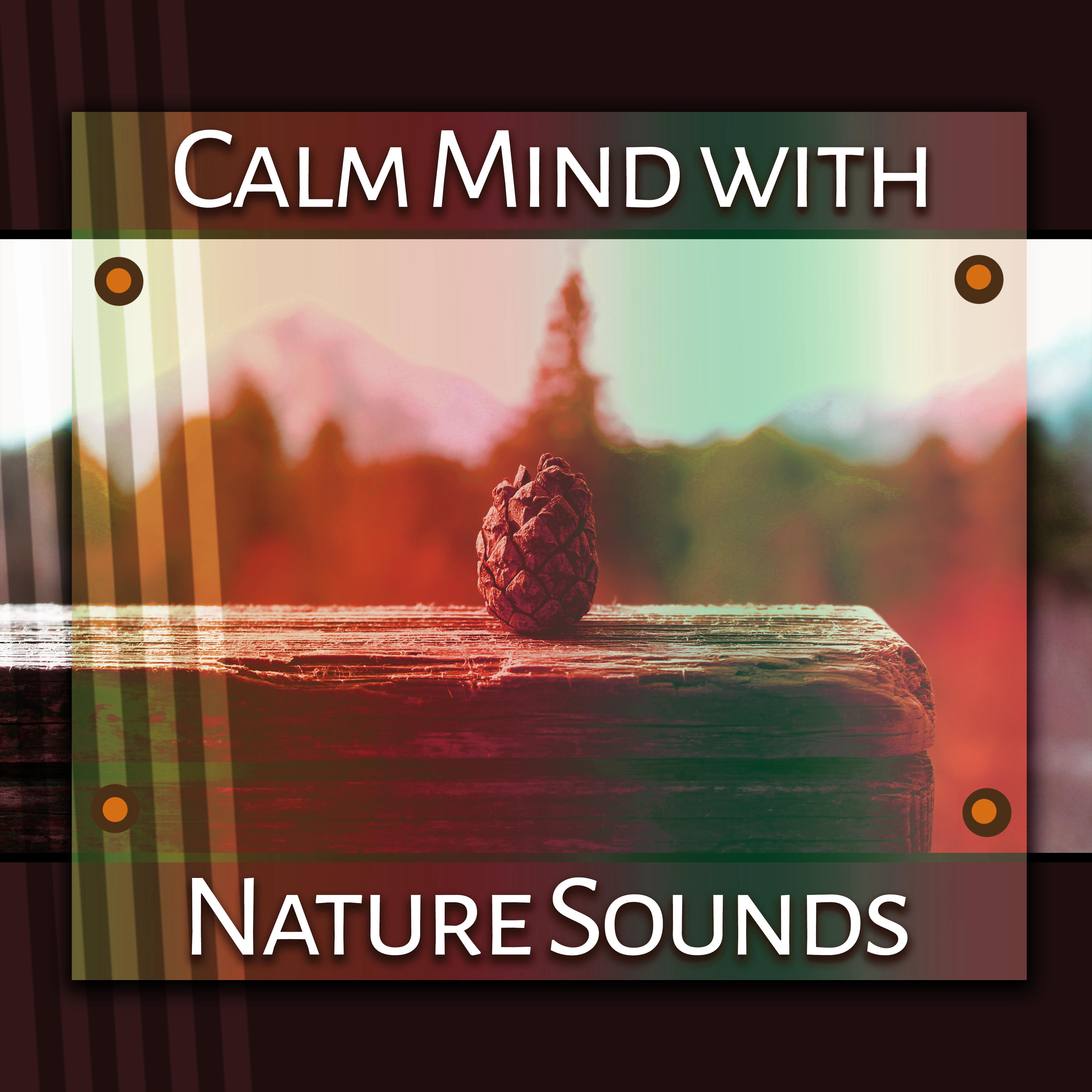 Calm Mind with Nature Sounds  Soothing Waves, Relaxing New Age Music, Stress Relief, Inner Harmony