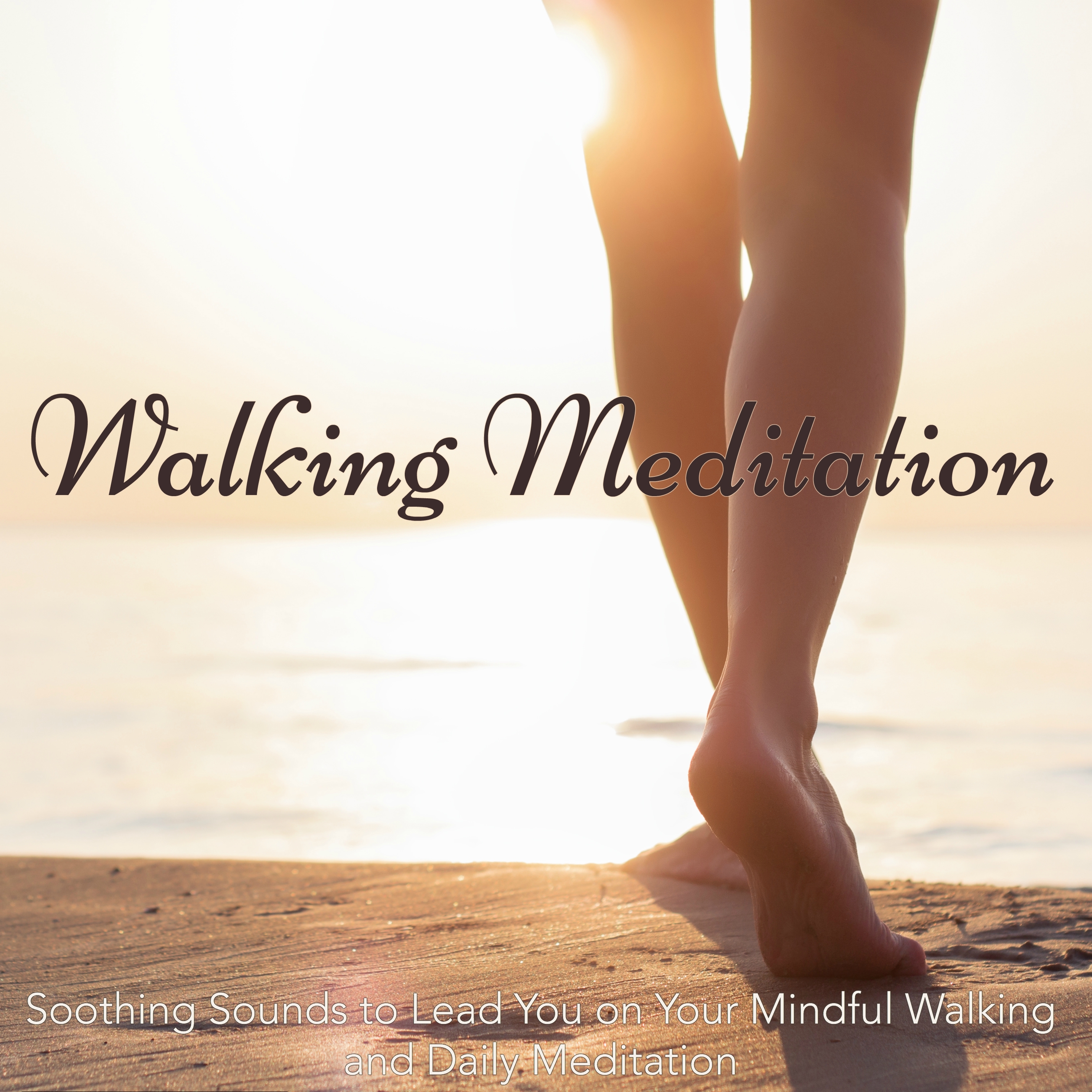 Meditation Retreat - Healing Music